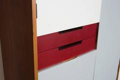 Rare Bas Van Pelt Wall-Mounted Cabinet