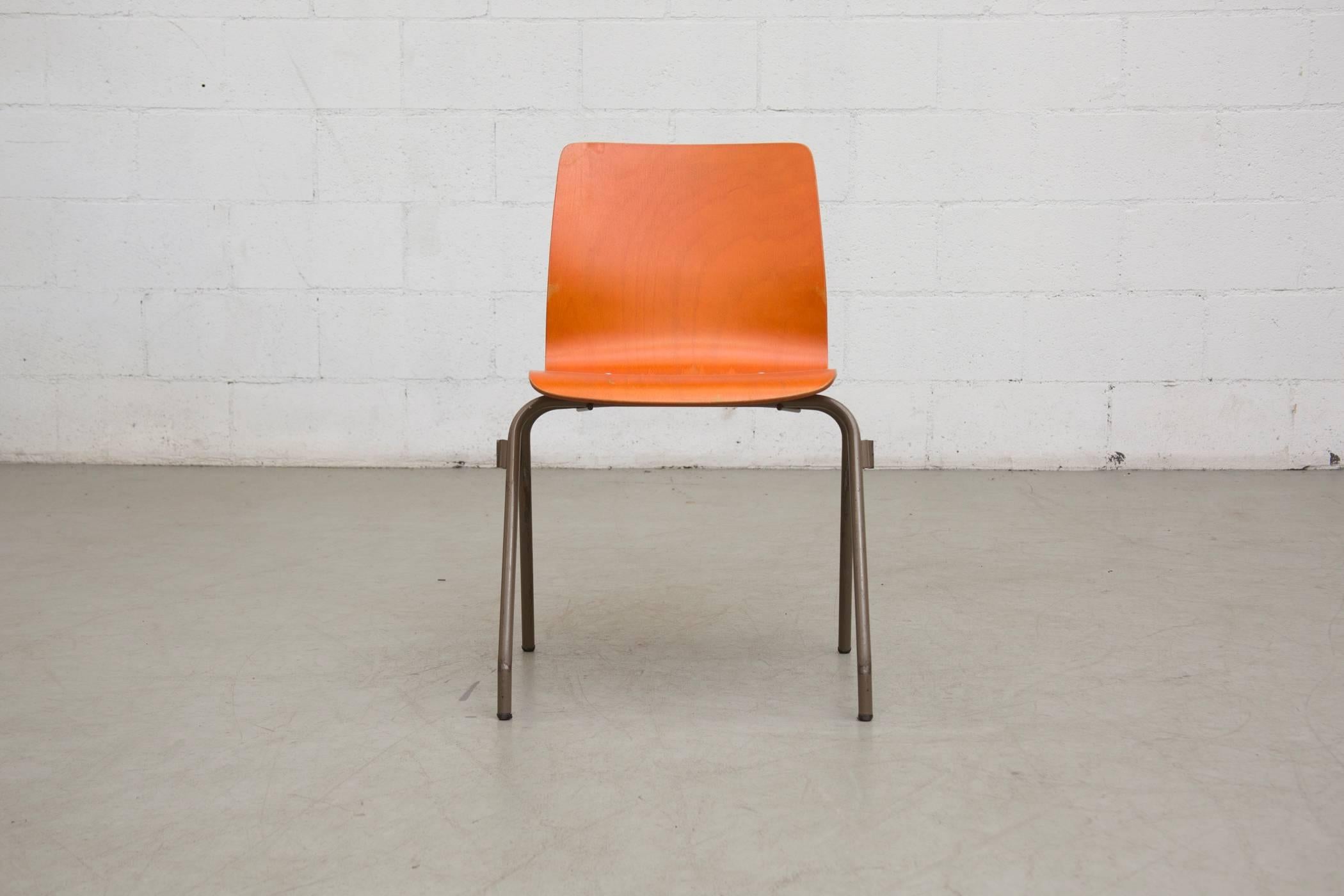 Cool orange toned plywood single shell stacking chairs on khaki enameled meal frame. Unique locking system to make rows. In original condition, visible nick marks on the seat sides due to stacking. Also 29 available in a lighter mango toned wood,