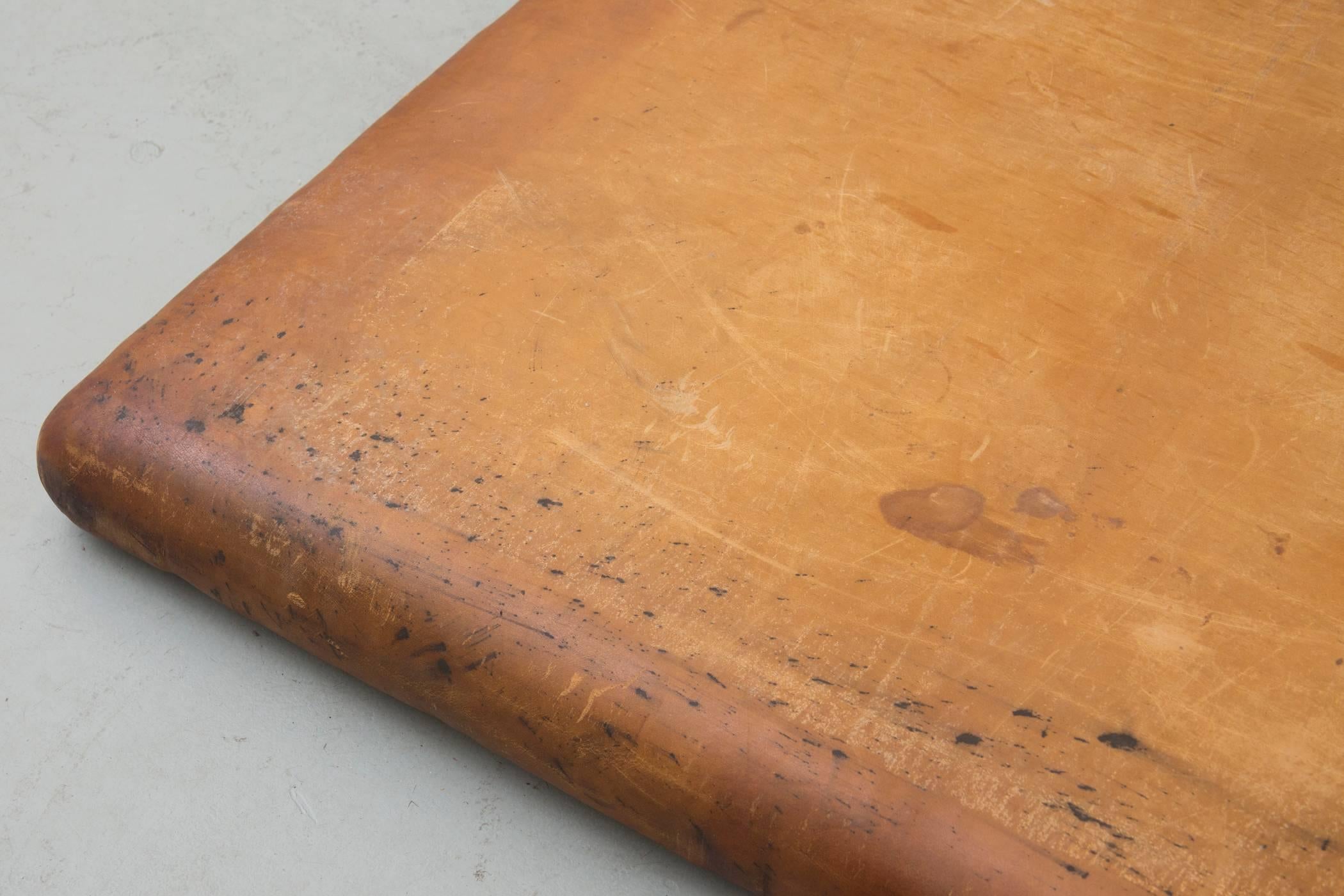 Vintage Leather Gymnastics Tumble Mat with Patina 2