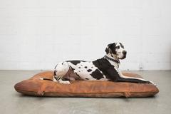 Vintage Leather Gymnastics Tumble Mat