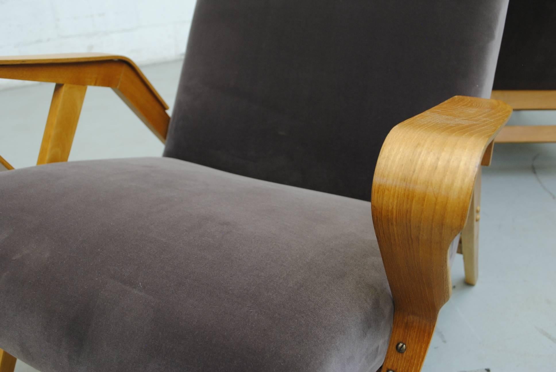 Foam Pair of Czech Tatra Bent Plywood Lounge Chairs in Weimaraner Velvet
