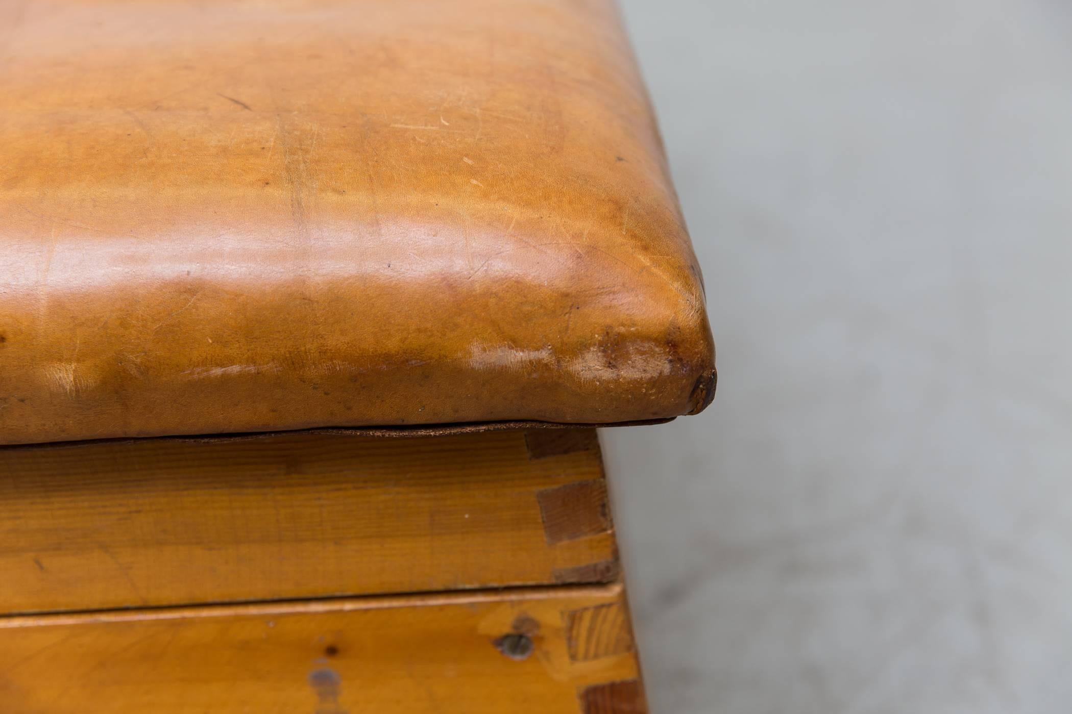 Leather Gymnastic Horse Bench or Coffee Table 2