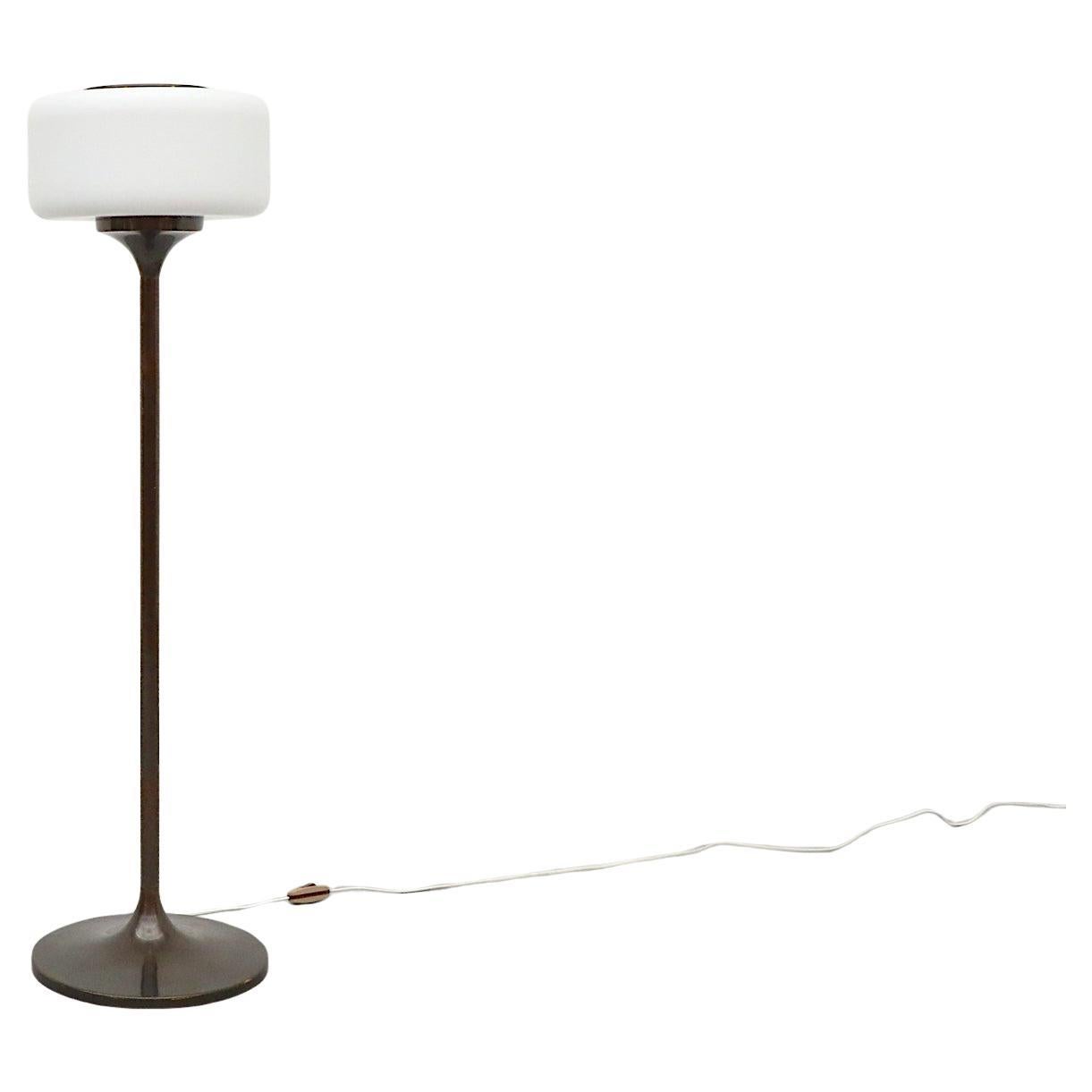 Lampadaire sur pied en cuivre foncé avec abat-jour en verre au lait en forme de pilule en vente