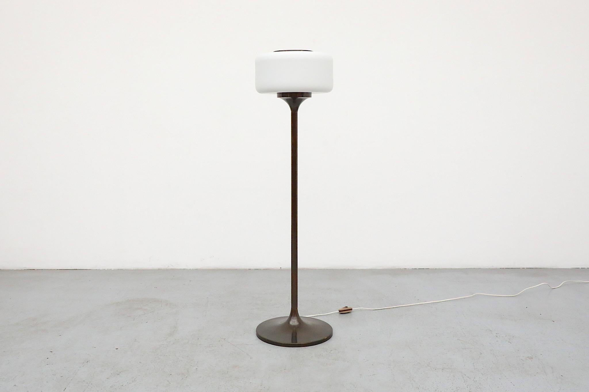 Lampadaire sur pied en cuivre foncé avec abat-jour en verre au lait en forme de pilule en vente 12