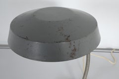 1950s Hungarian Bauhaus-Style Gooseneck Desk Lamp by EAKV