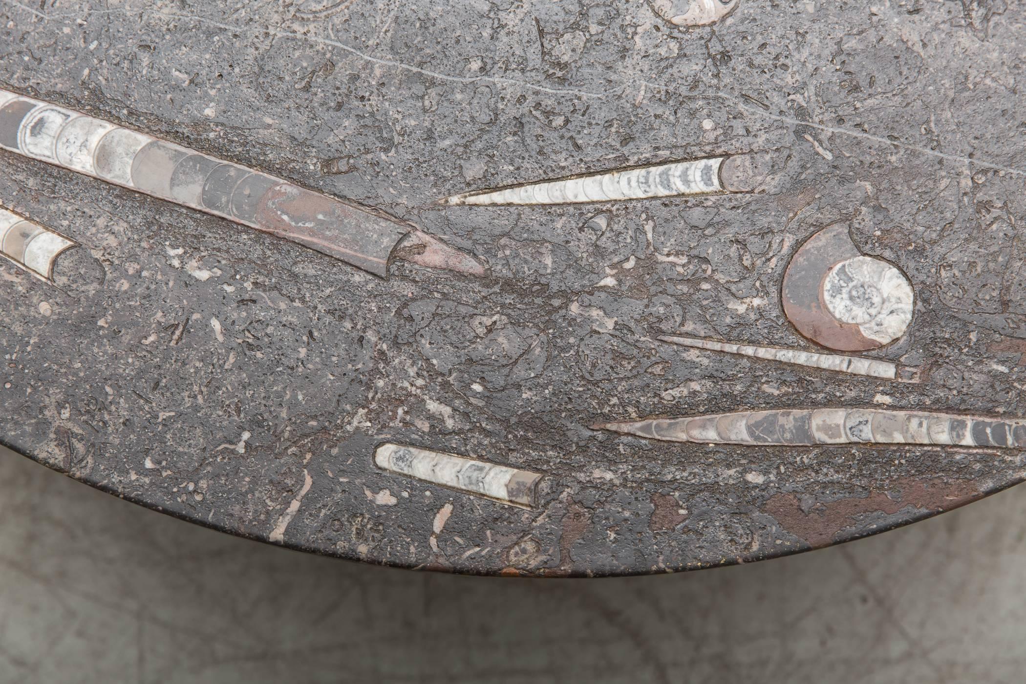 Late 20th Century Rare Round Fossil Metaform Coffee Table