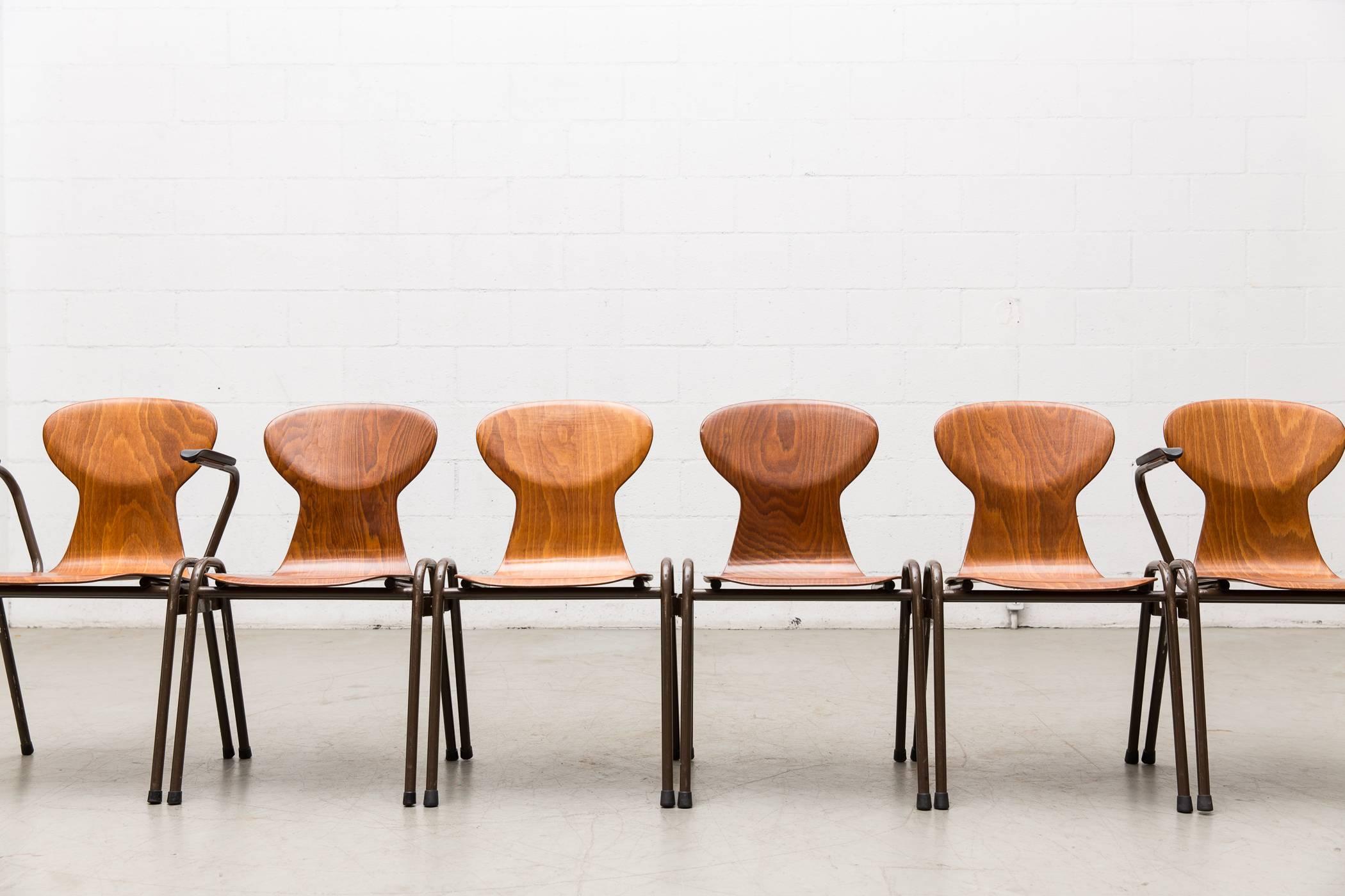 Mid-Century Fritz Hansen Style Stacking Teak Toned School Chairs For Sale 1