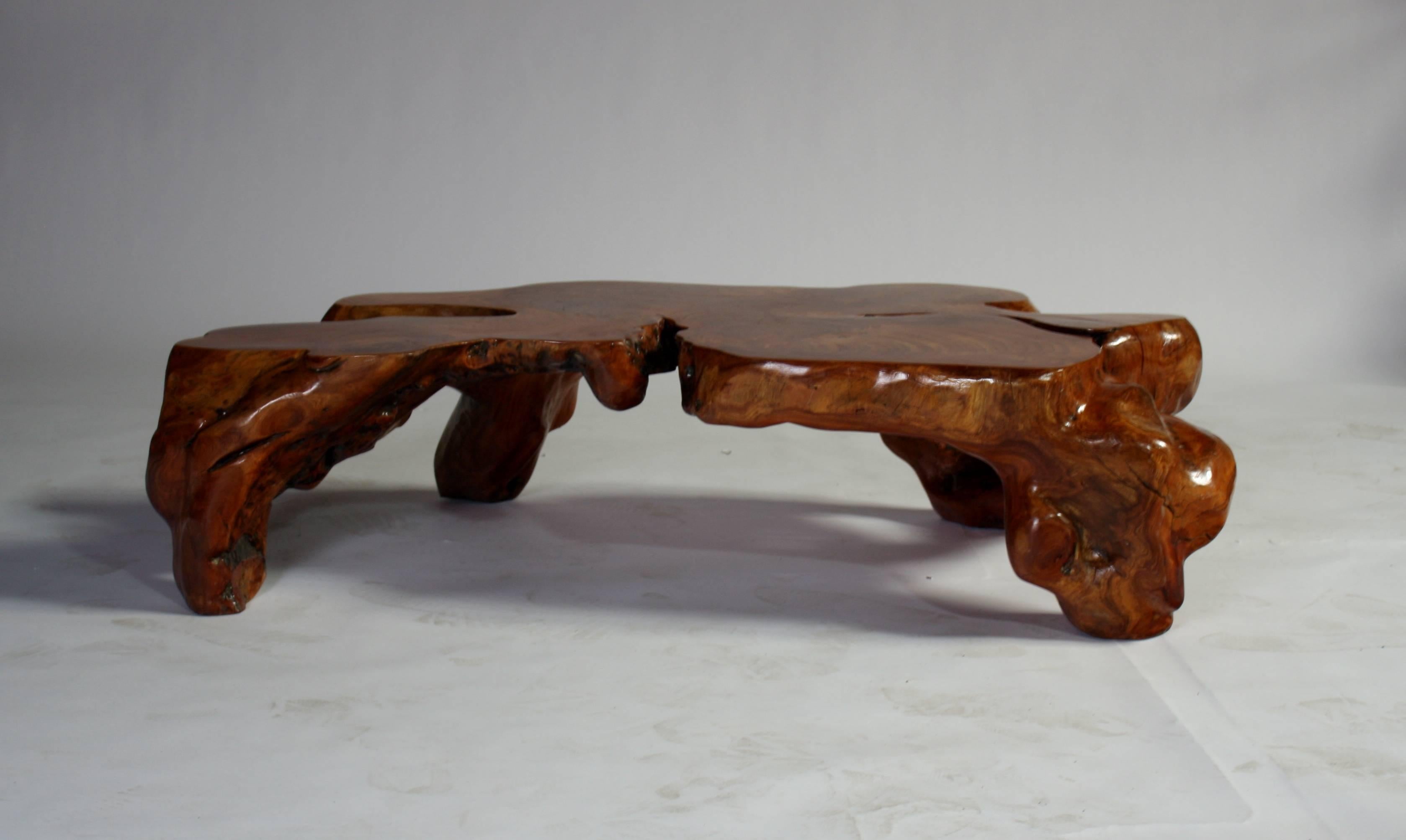 Modern Natural Teak Root Sculptural Tree Coffee Table