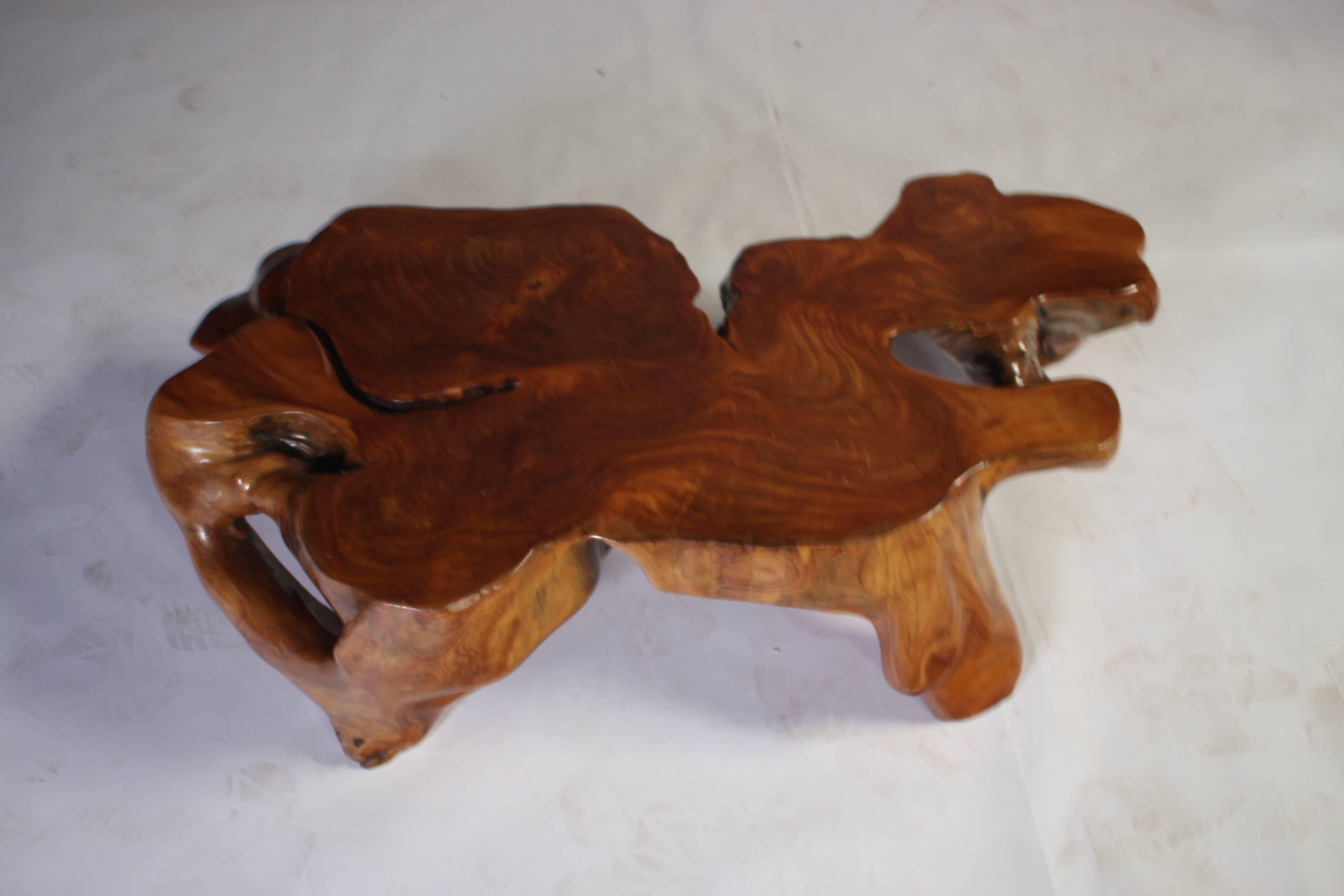 Natural Teak Root Sculptural Tree Coffee Table In Excellent Condition In Chicago, IL