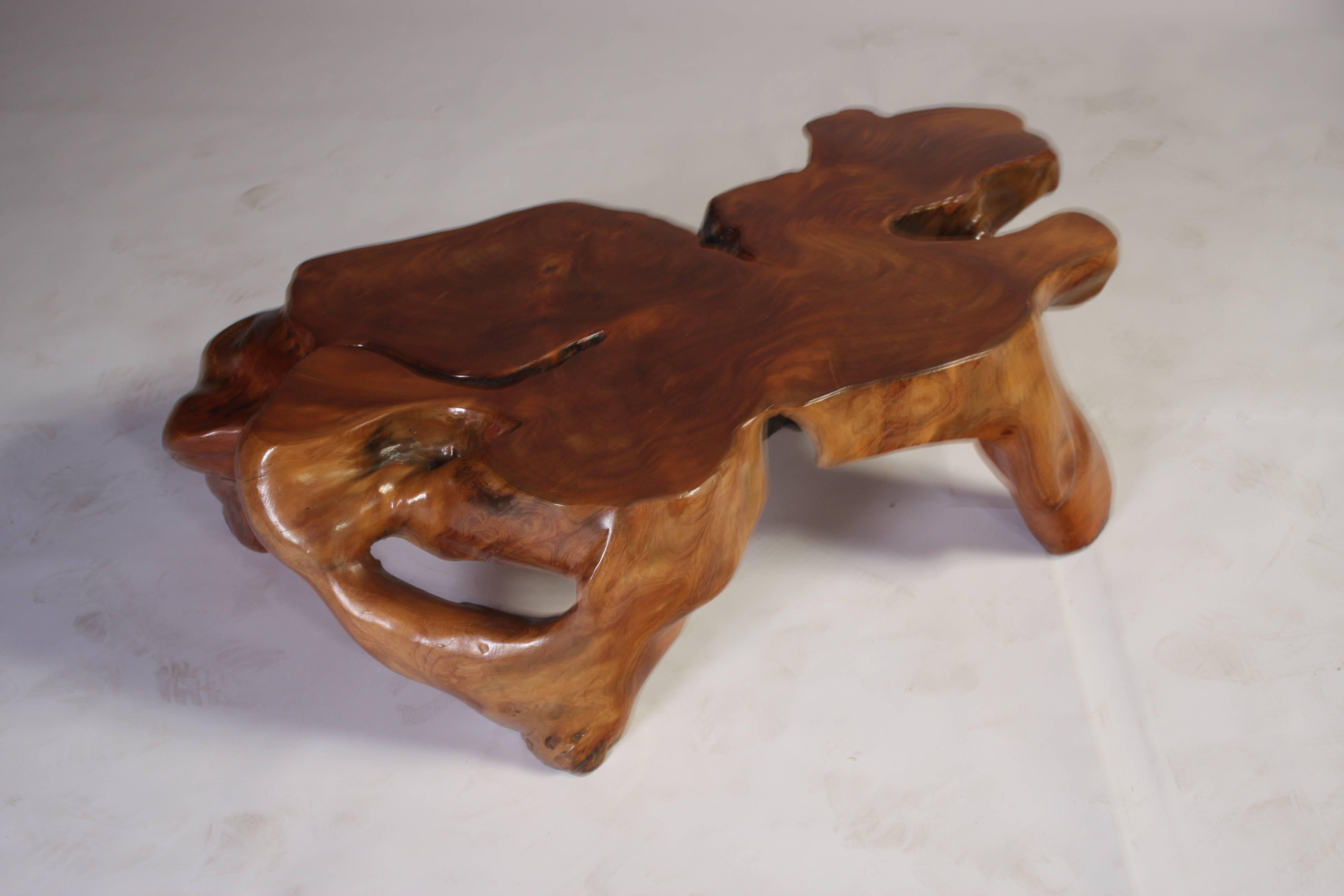 20th Century Natural Teak Root Sculptural Tree Coffee Table