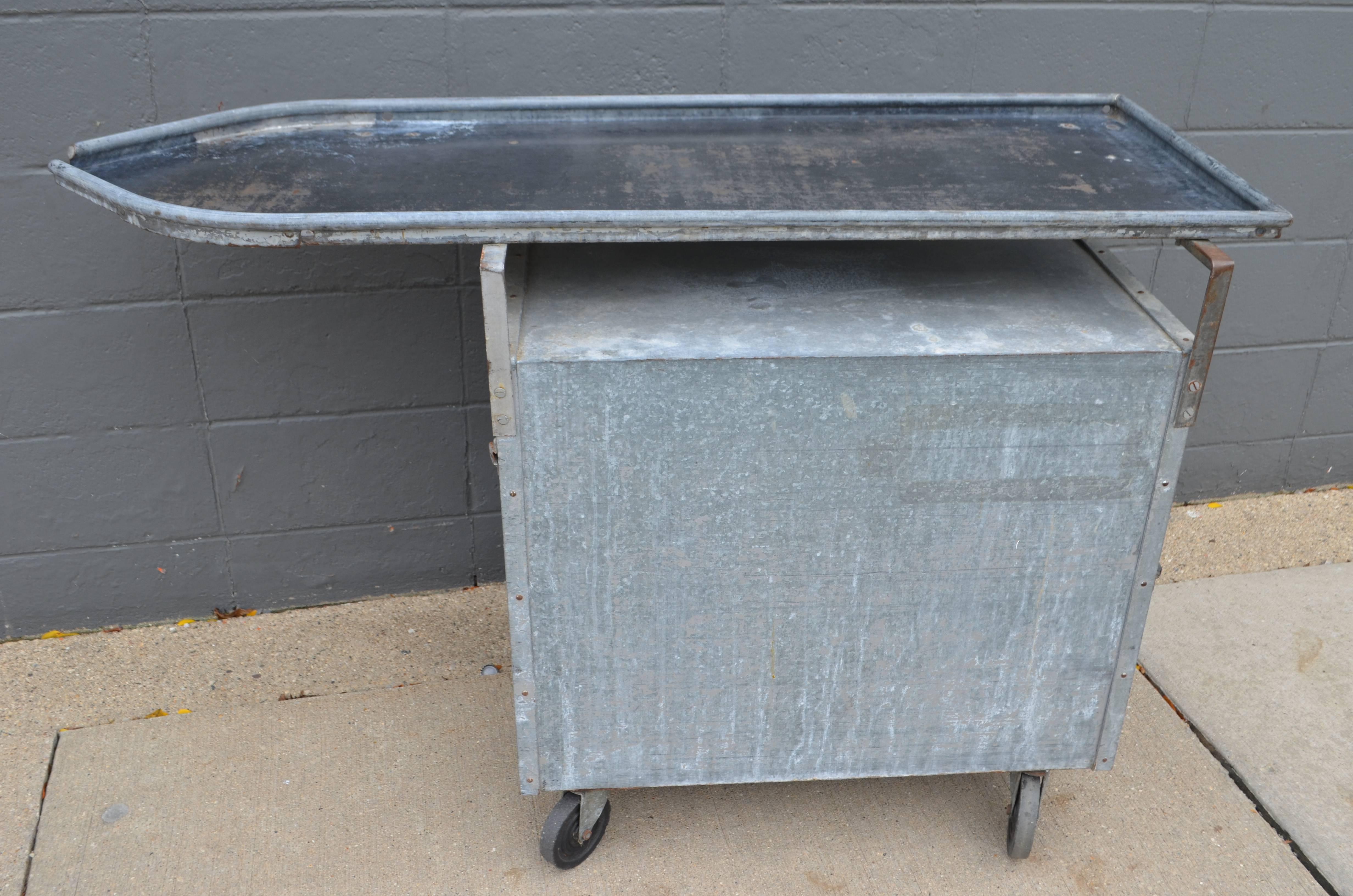 Industrial Bar on Wheels / Potting Table / Plant Stand from Galvanized Vet Exam Table