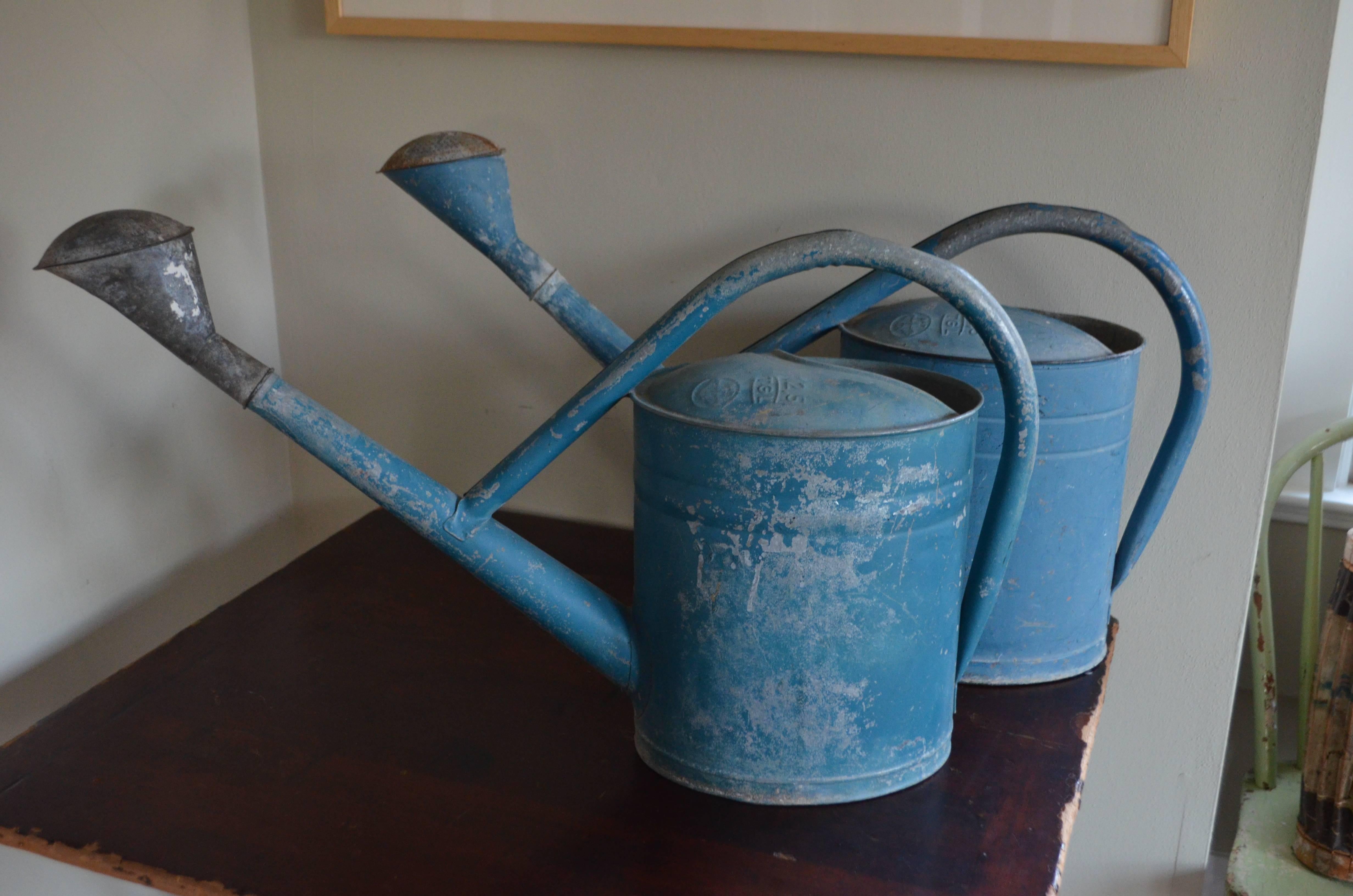 European BAT watering cans (pair) in worn blue paint, 12.5 liter capacity. Like a well-worn pair of blue jeans, these two watering cans have a lived-in quality to which true gardeners can relate. Their appealing sculptural shape, extended, throaty