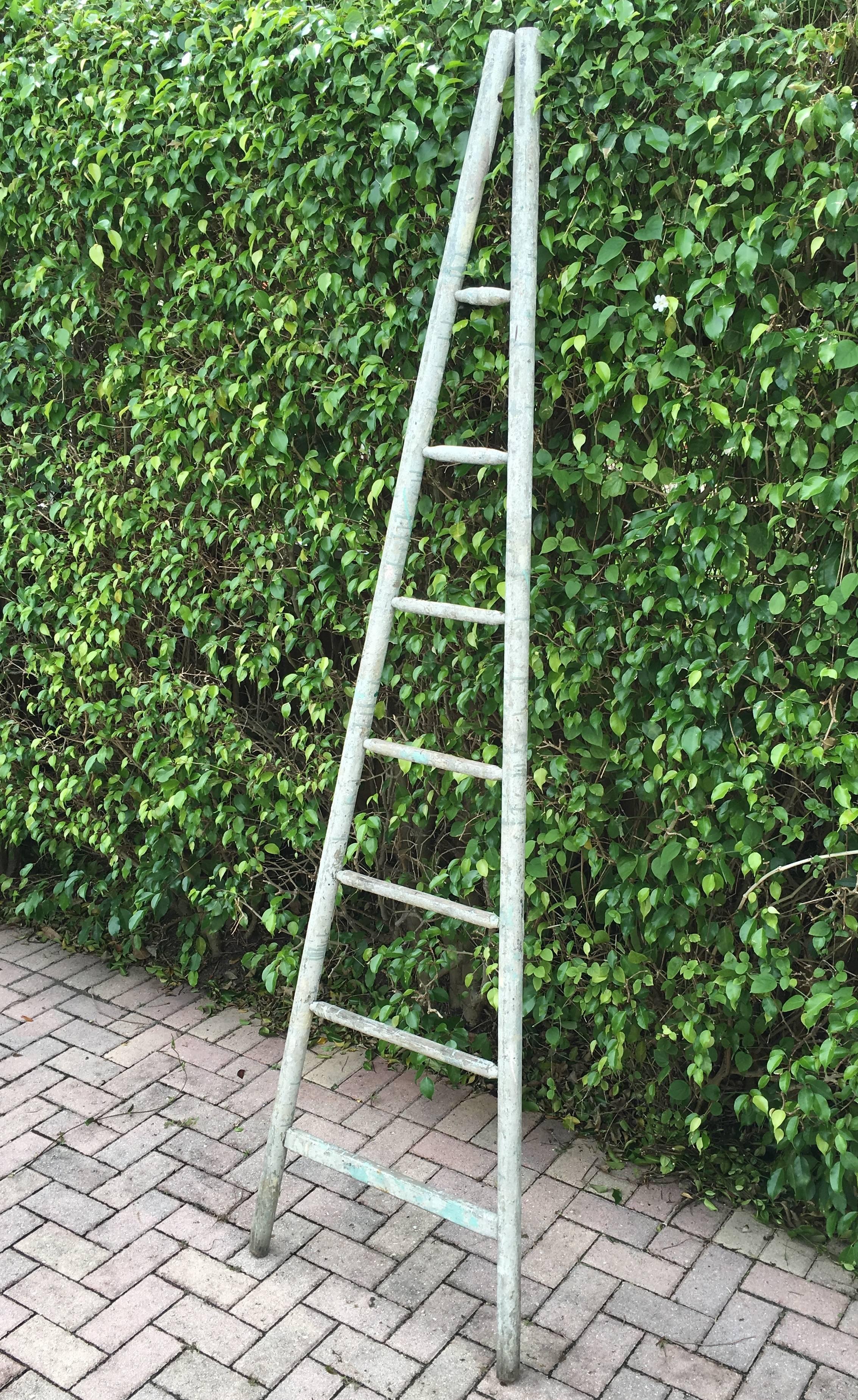 Orchard ladder with wonderful paint patina. Measures: Height is 92.0