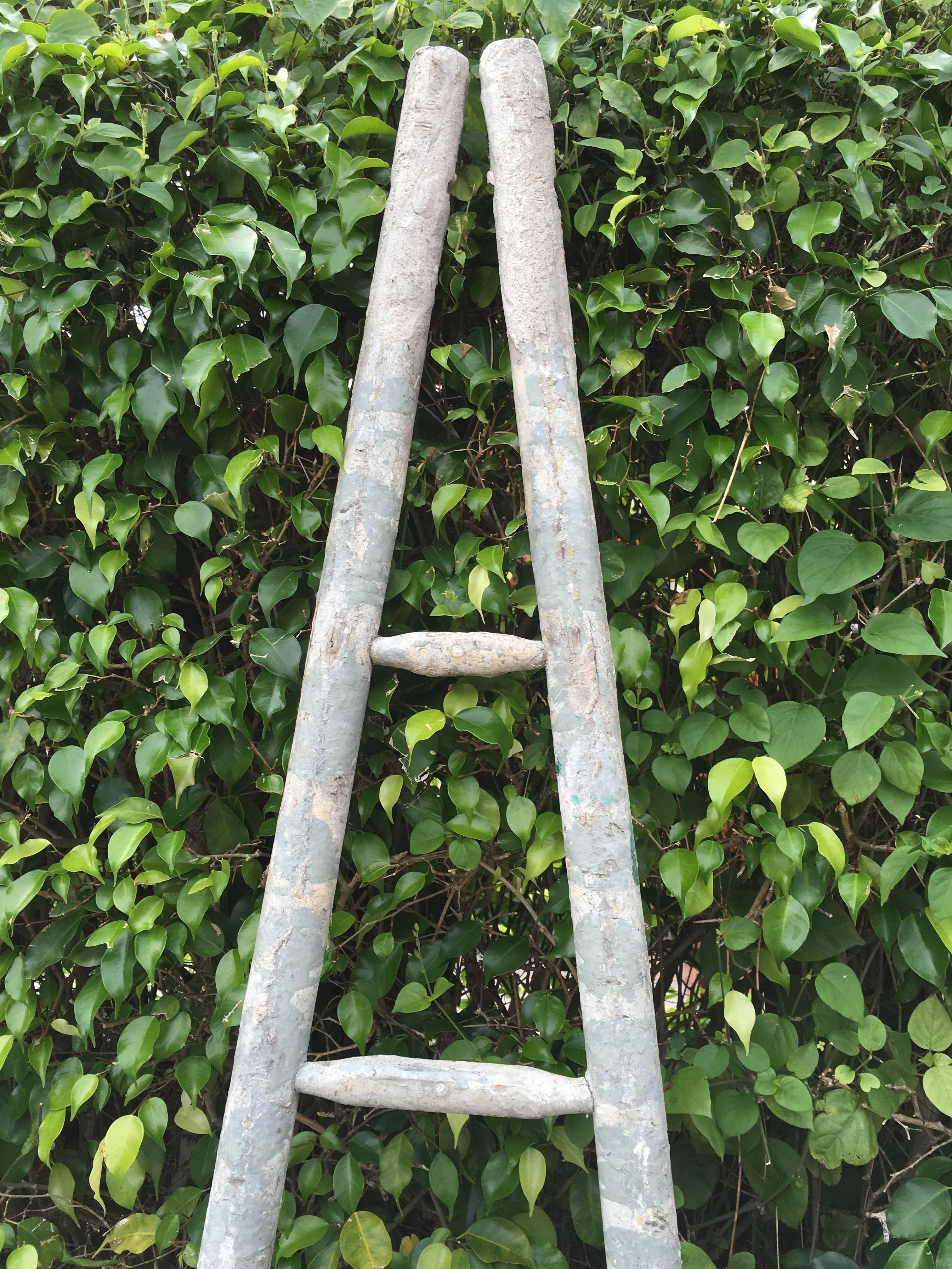 20th Century Vintage Orchard Ladder