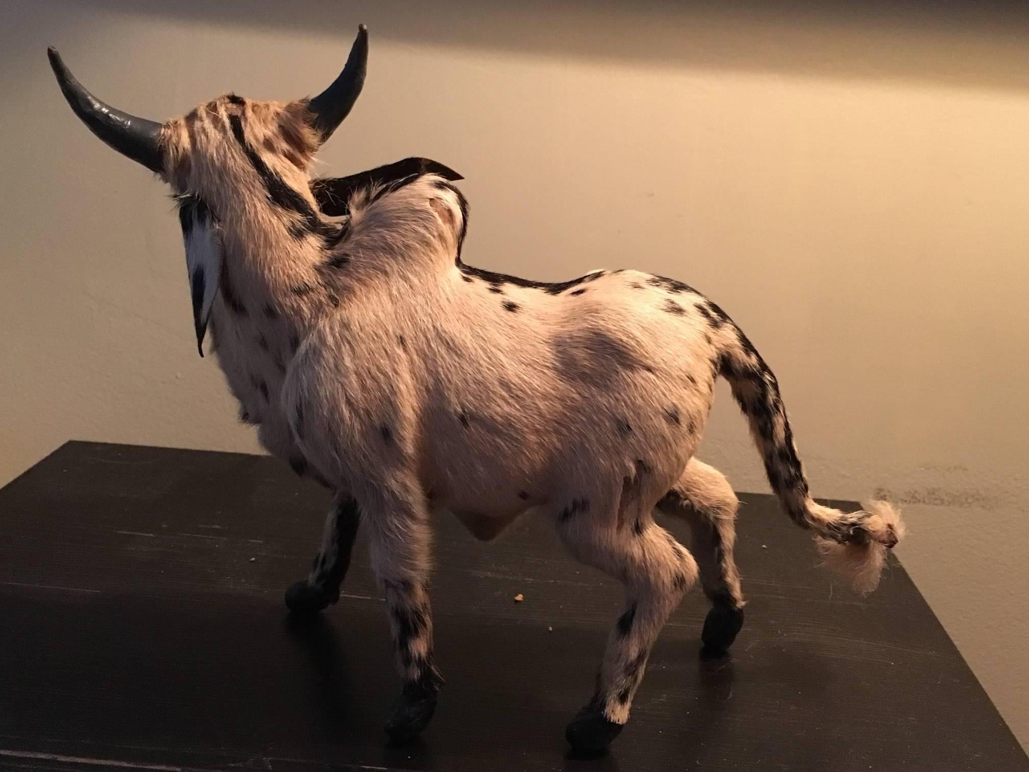 Spanish Bull in Miniature, Handmade of Cowhide 1