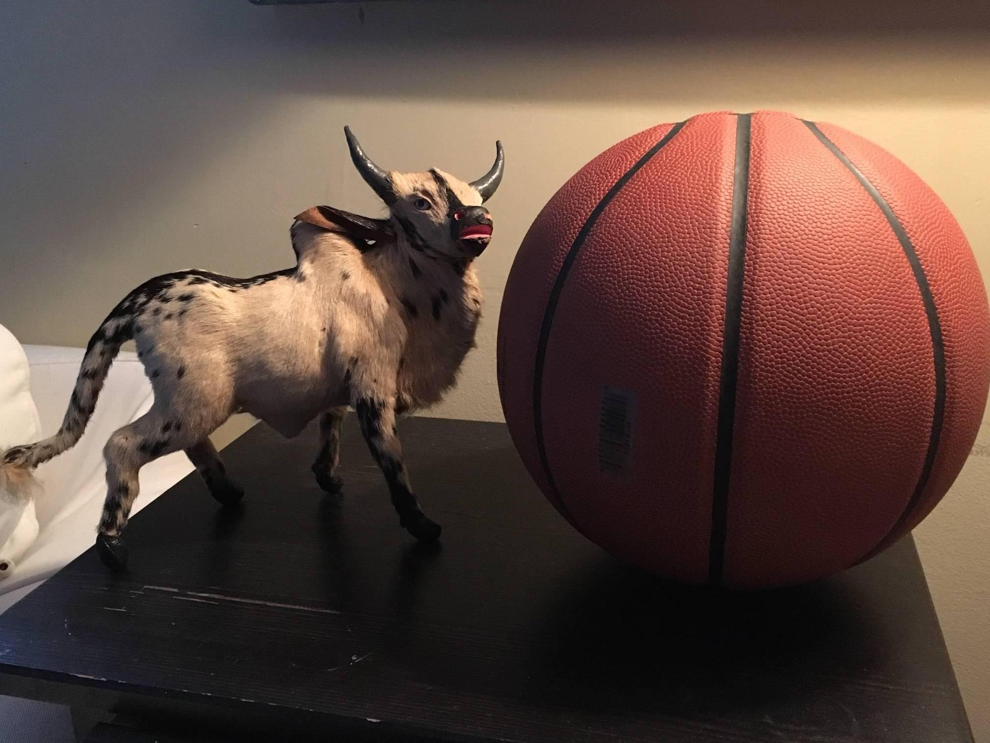 Spanish Bull in Miniature, Handmade of Cowhide 5