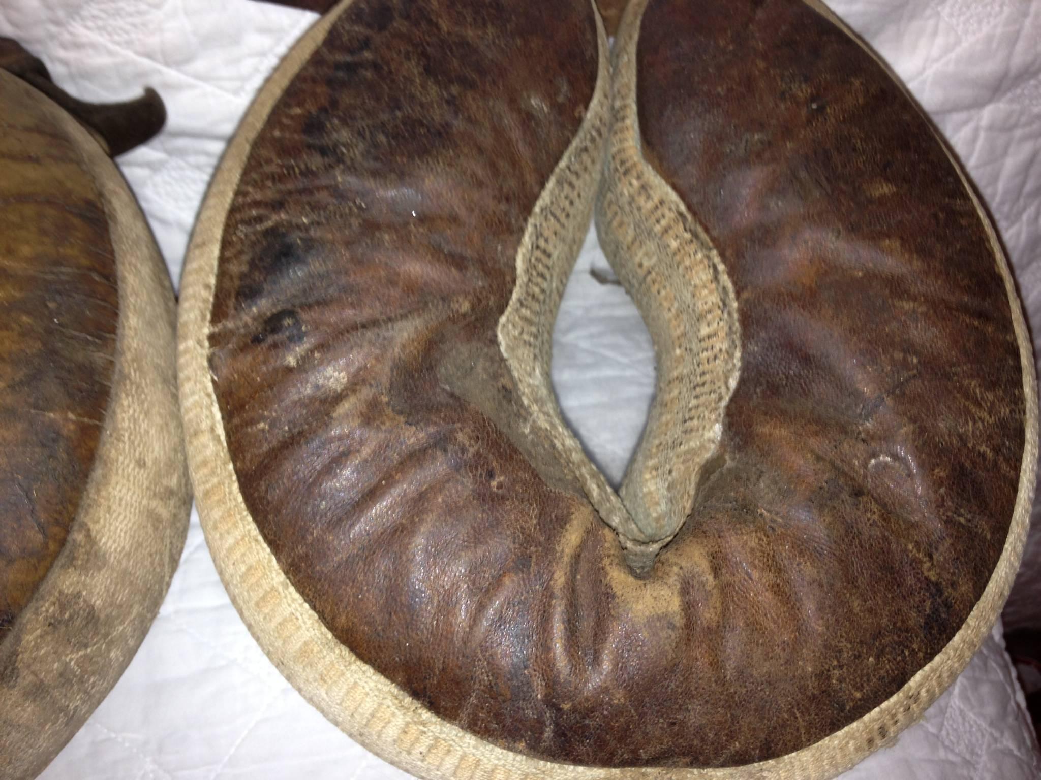 Late 1800s Leg Protectors for Race Horses In Excellent Condition In Madison, WI