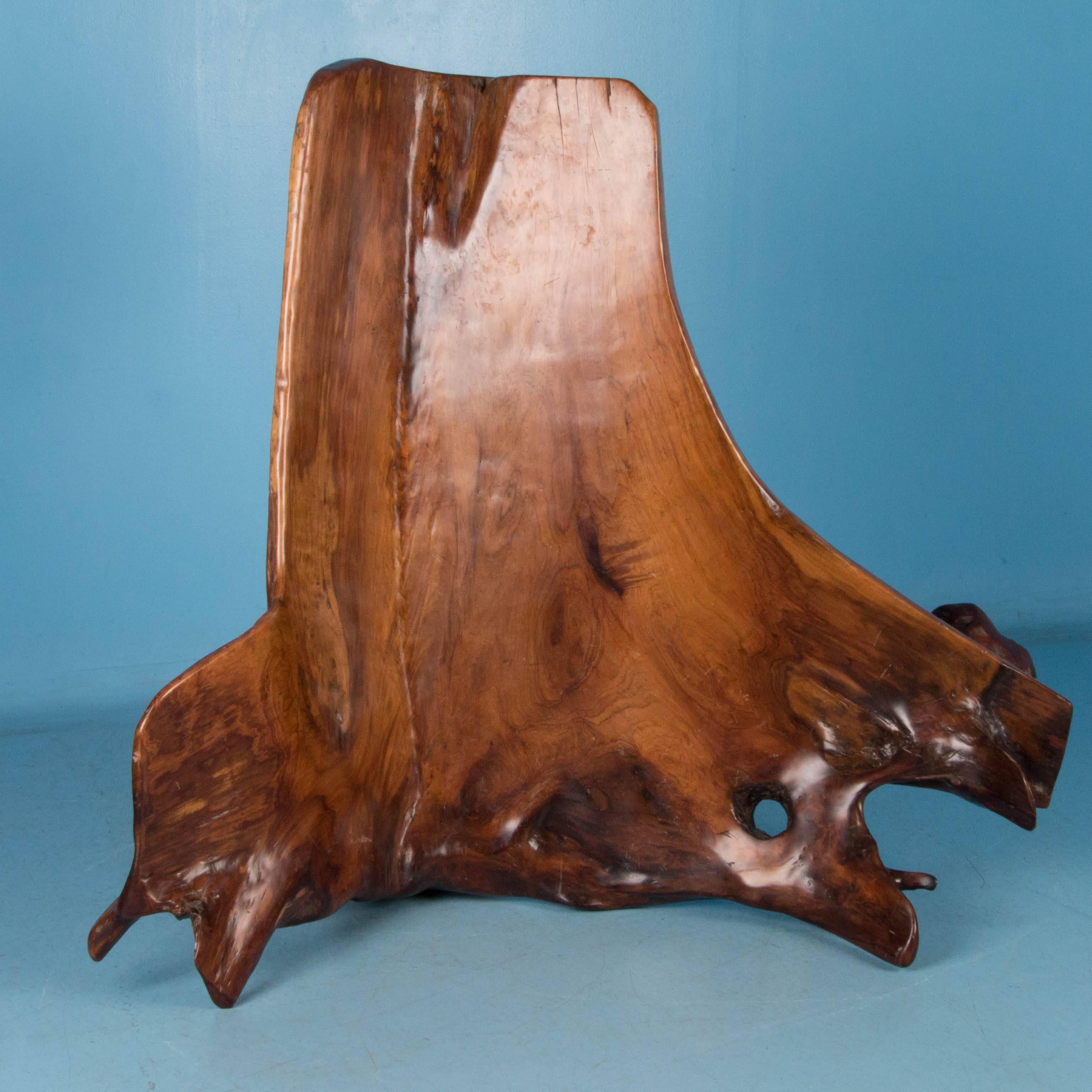 Stunning Large Vintage Hardwood Root Chair or Bench from the Philippines 6