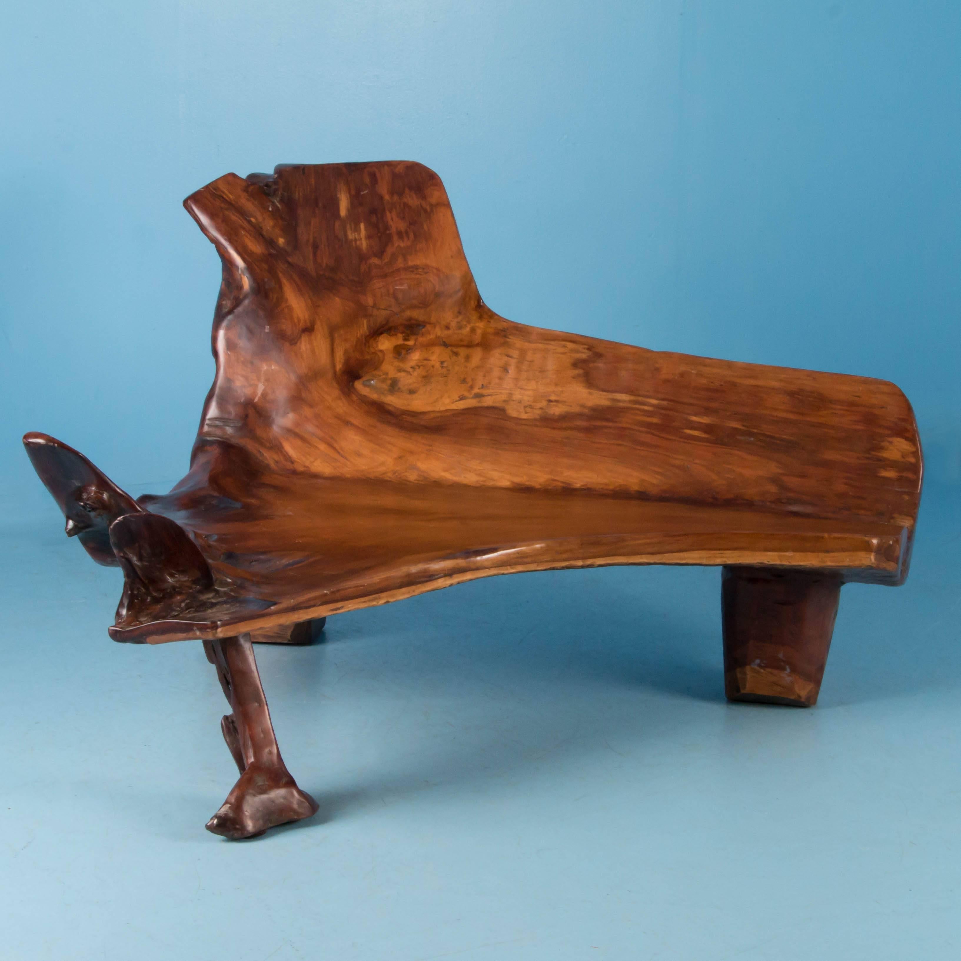 This dramatic live edge remnant from the root and trunk of a hardwood (possibly narra or molave) has been converted into a small bench or lounge chair. The free-form and large seat allow for a variety of uses including a platform for displaying art.