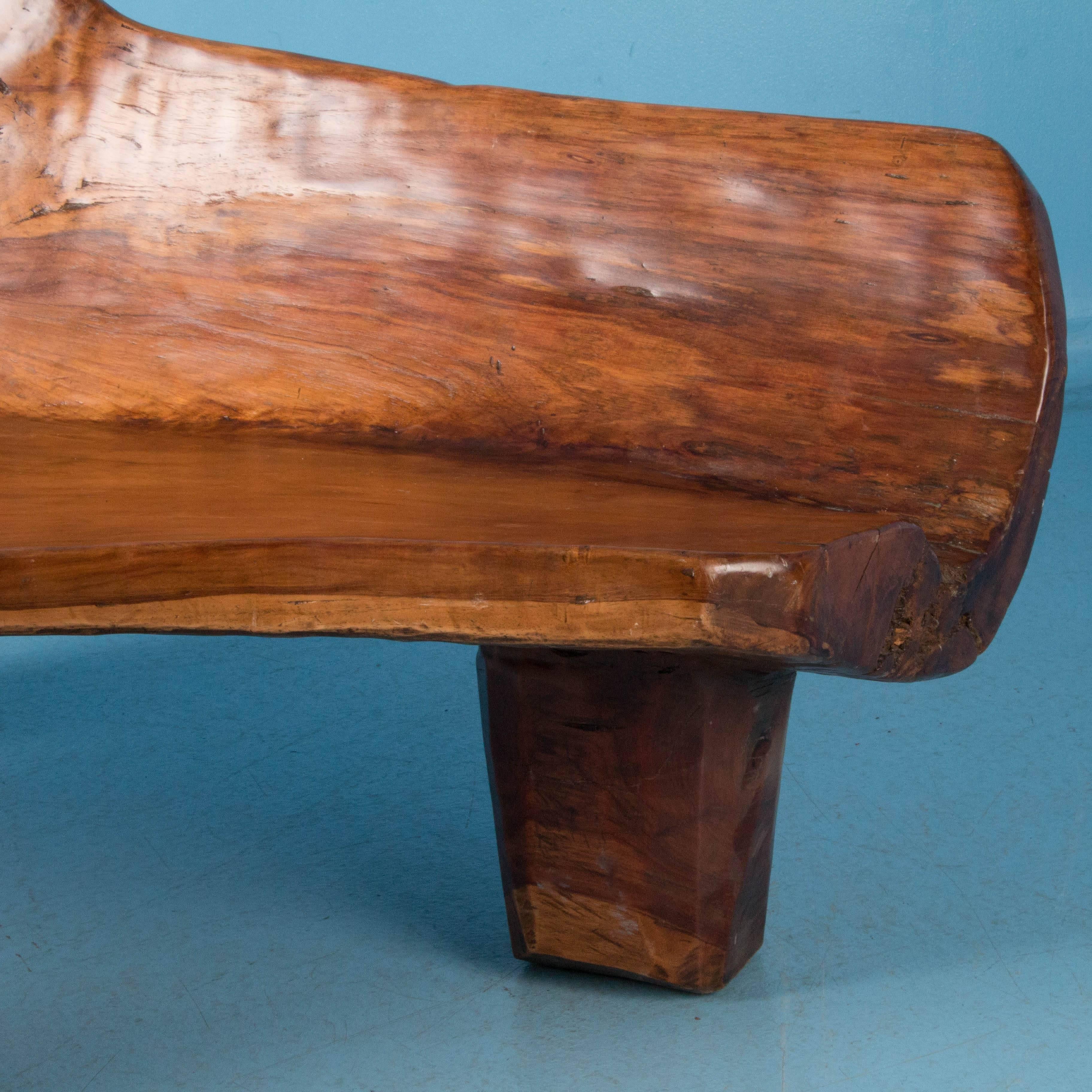 Stunning Large Vintage Hardwood Root Chair or Bench from the Philippines 4