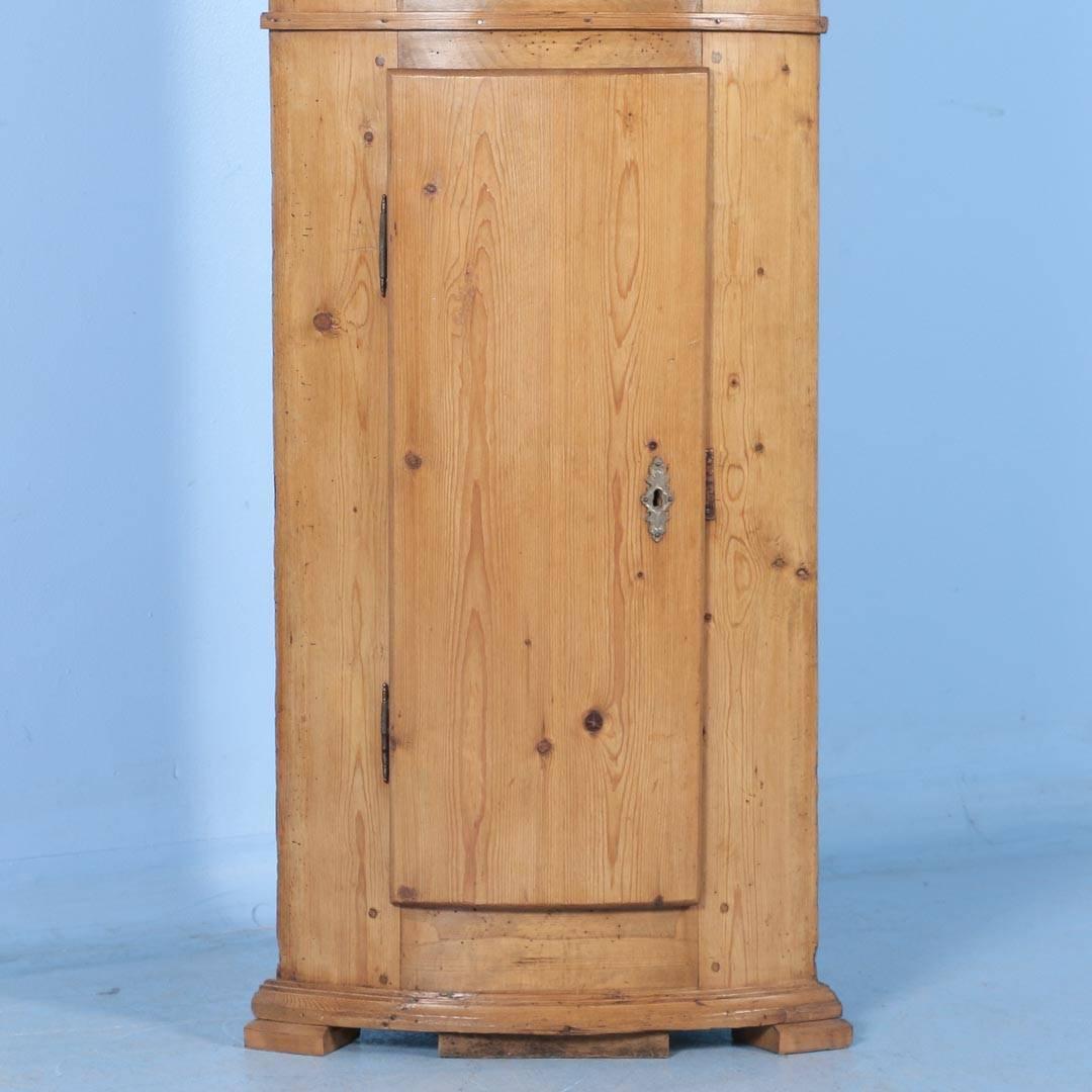 Country Antique Pine Bowed Front Narrow Corner Cabinet from Denmark, circa 1860