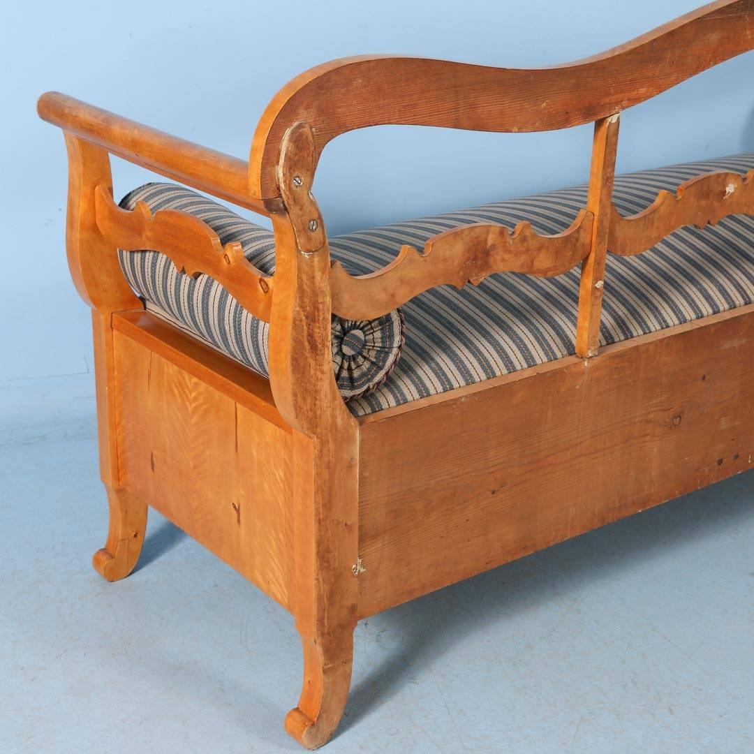 Antique Karl Johan Yellow Birch Bench Sofa From Sweden, circa 1840-1860 5