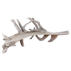 Holz Bänke