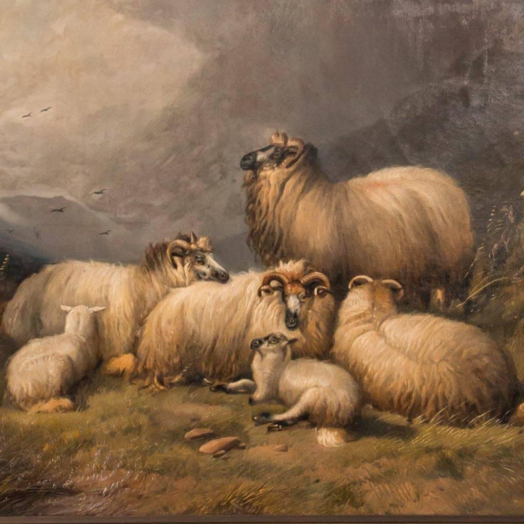 Large original English oil painting of a flock of sheep resting on a mountainside, signed and dated in the lower left A Morris 1882. Mounted in a giltwood frame. Please enlarge and examine close up photos to appreciate the details.