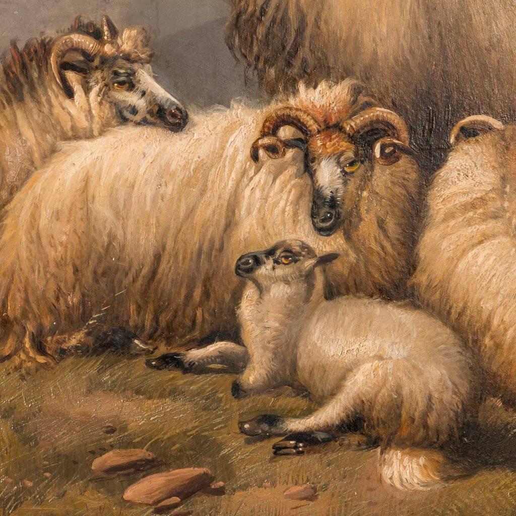 sheep oil painting