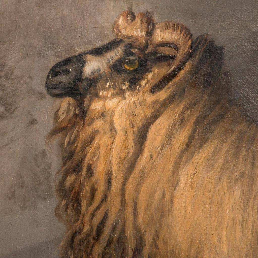 oil paintings of sheep