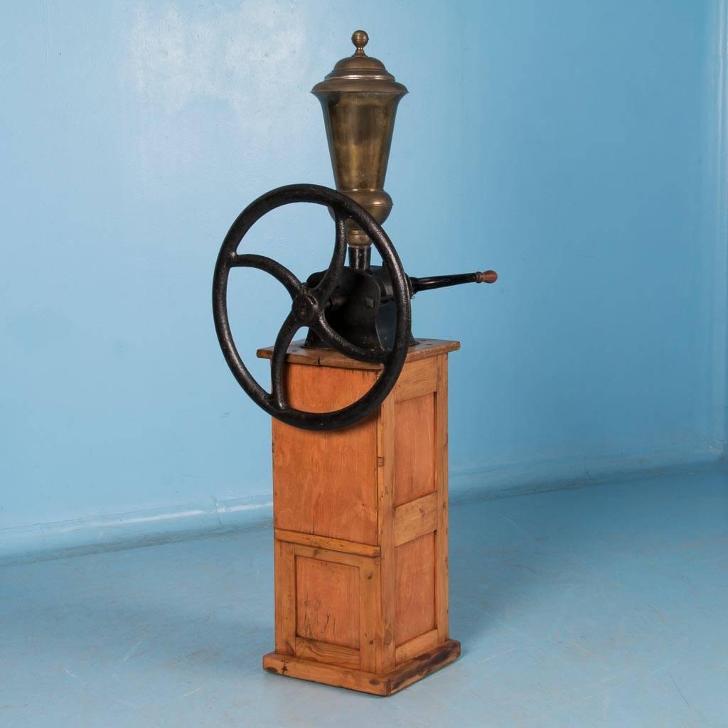 antique cast iron coffee grinder