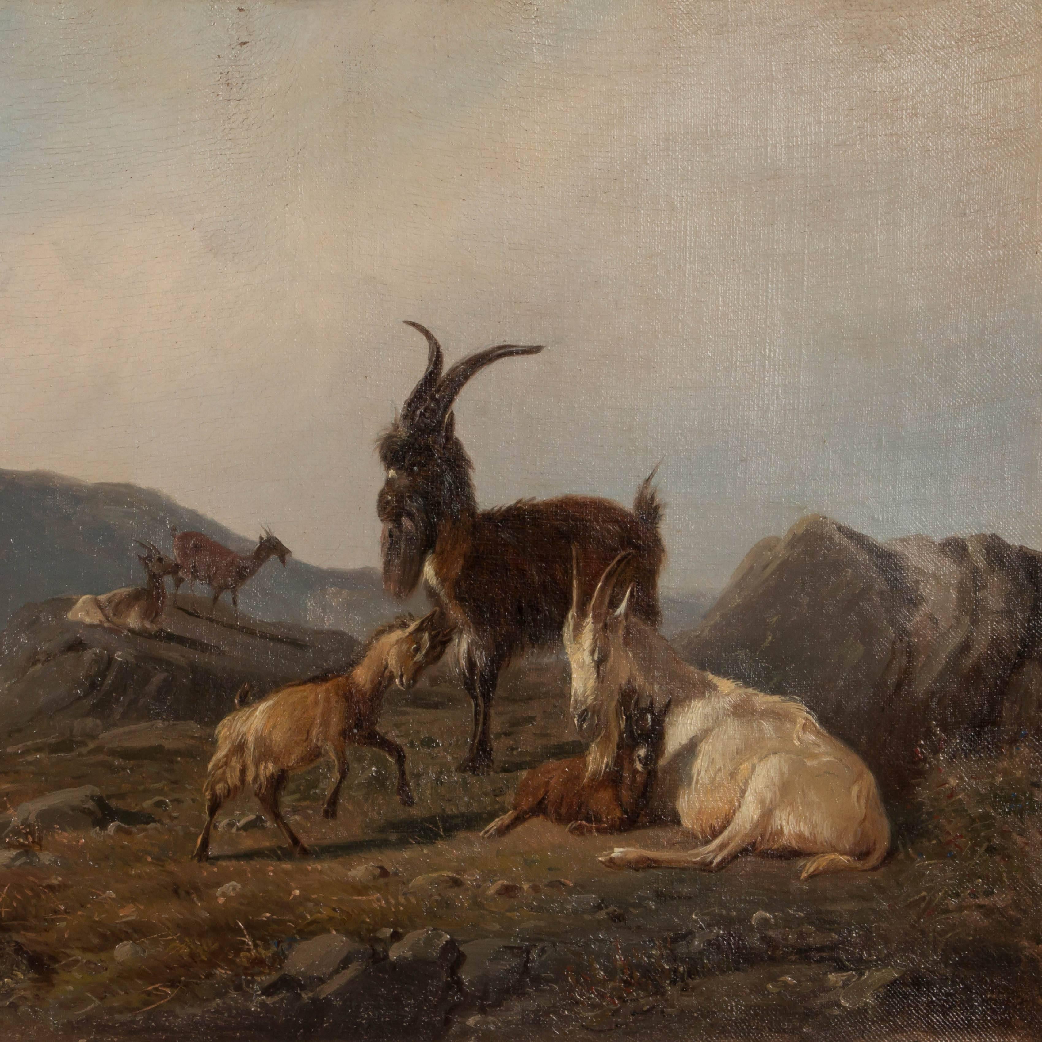 Danish Antique 19th Century Oil Painting of Mountain Goats by Wilhelm Zillen