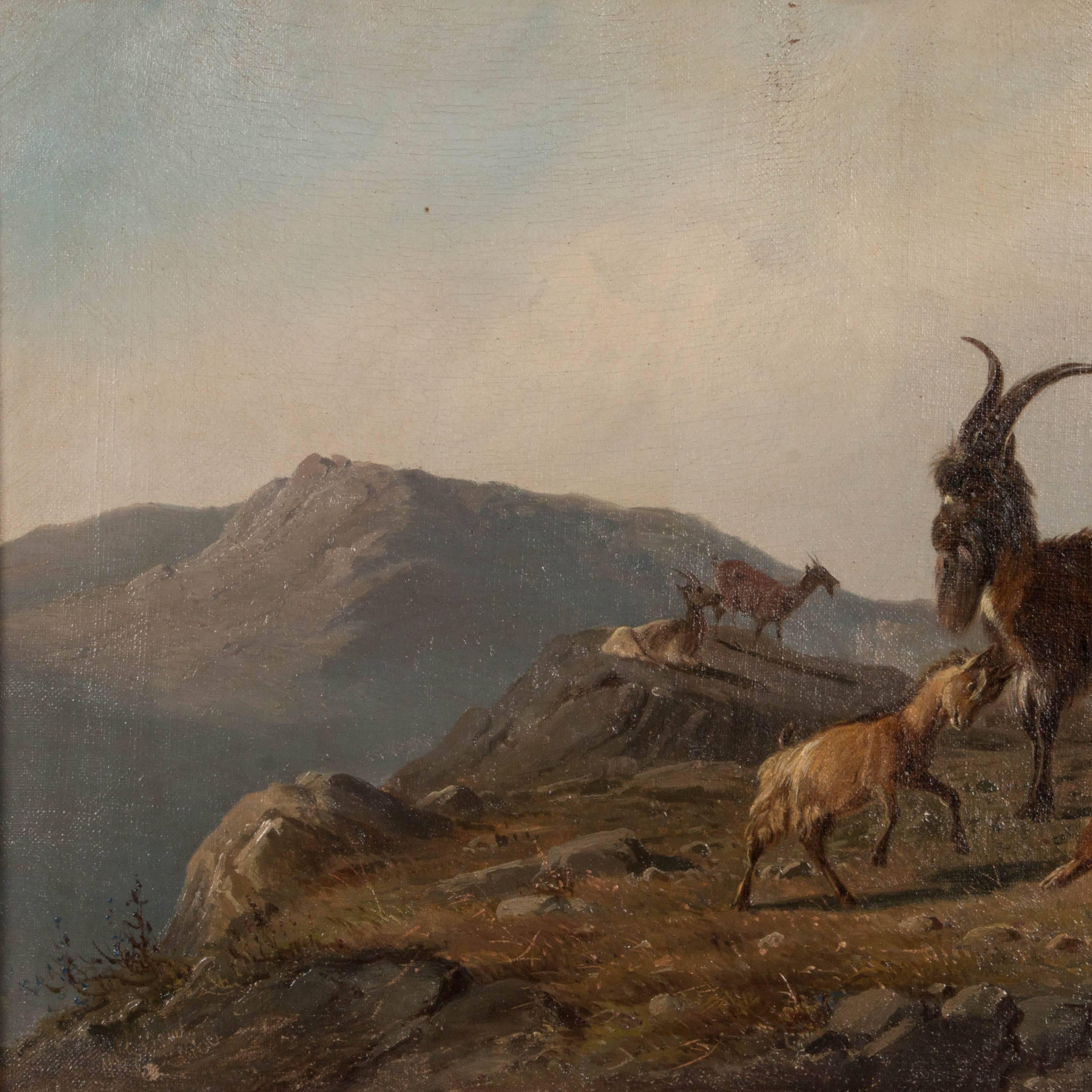 Alpine scene of a mountain goat family with more of the herd in the background by Danish artist Wilhelm Zillen (1824-1870). The canvas is signed in the lower left and mounted in a period giltwood and plaster frame with a few areas of loss to the