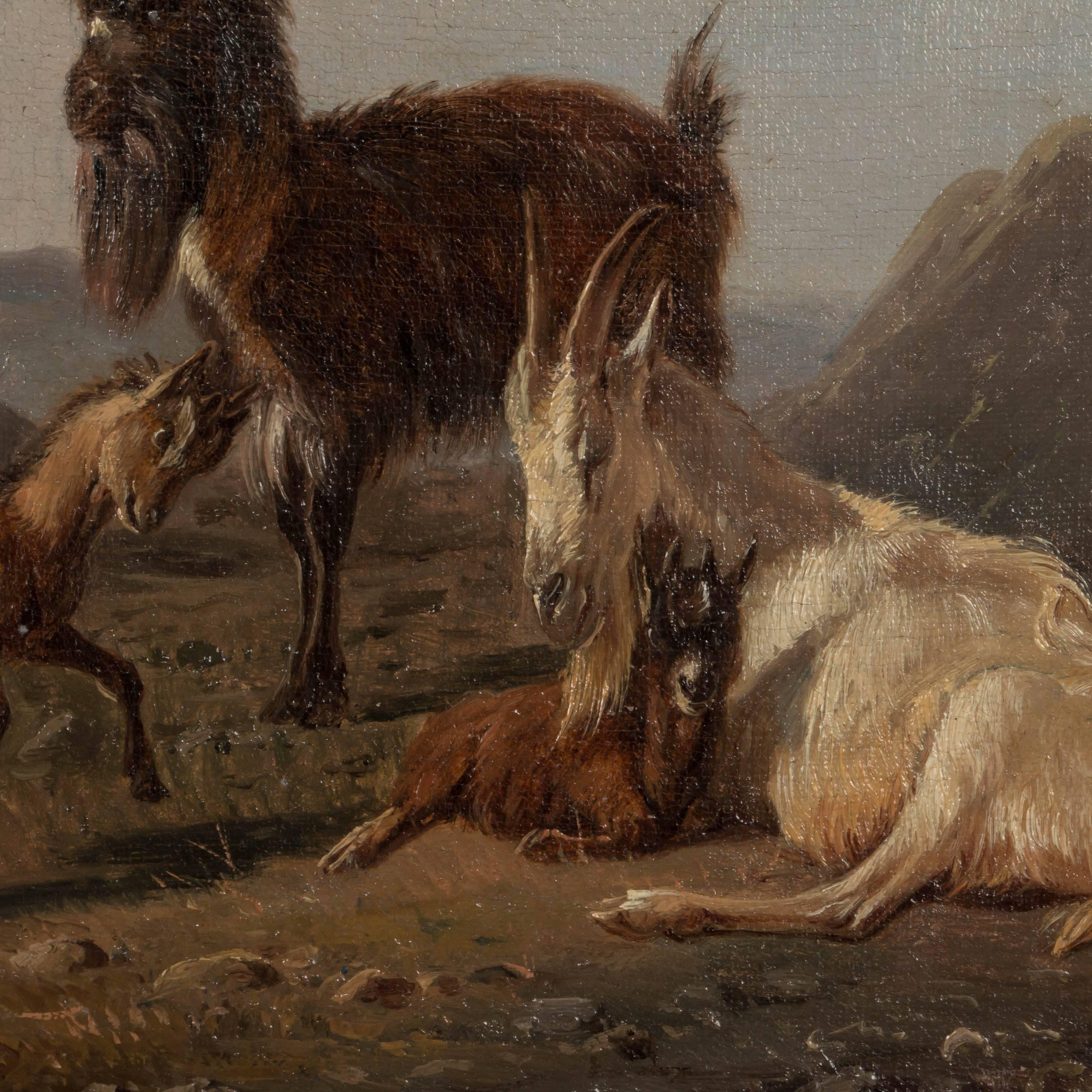 Antique 19th Century Oil Painting of Mountain Goats by Wilhelm Zillen 1