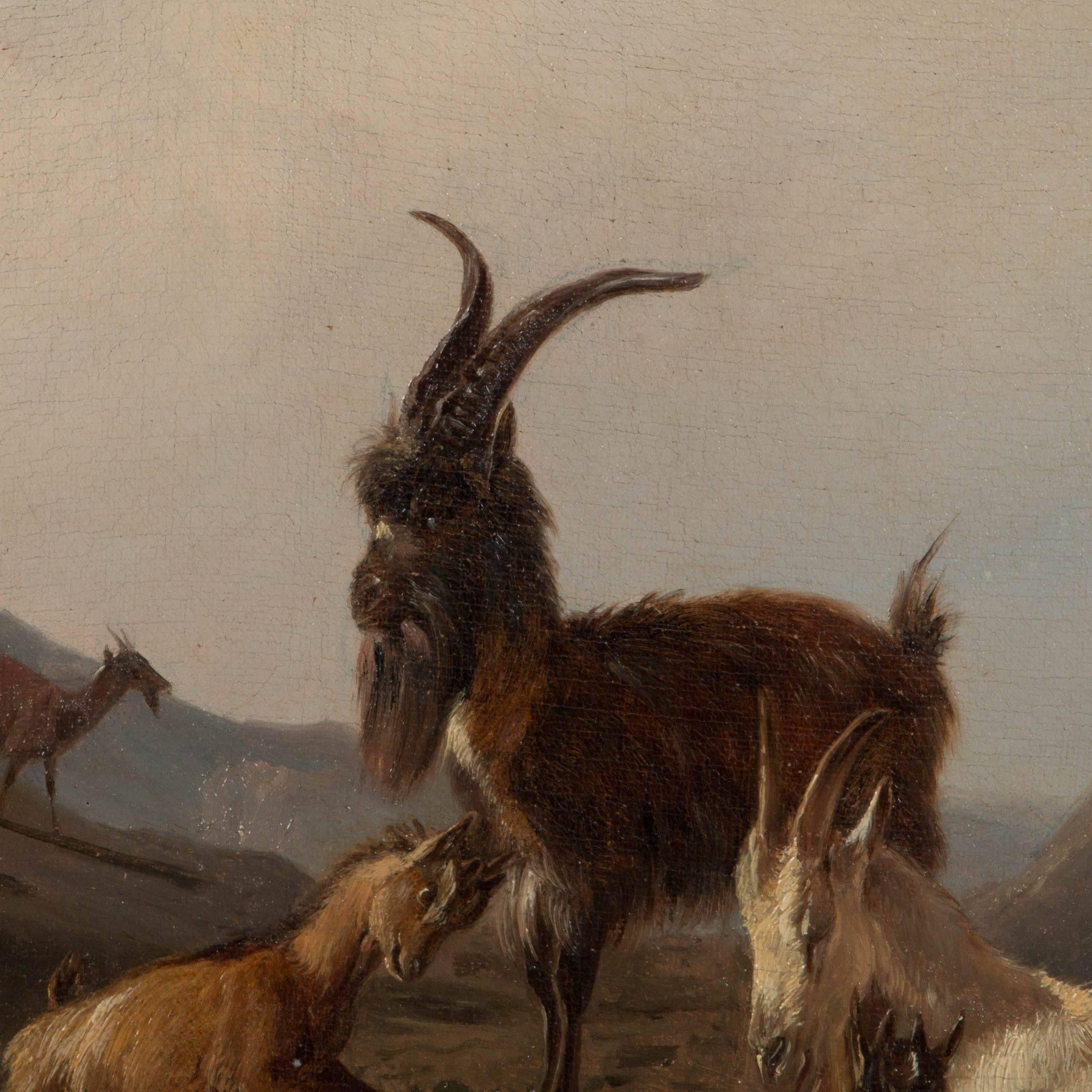 Antique 19th Century Oil Painting of Mountain Goats by Wilhelm Zillen 2