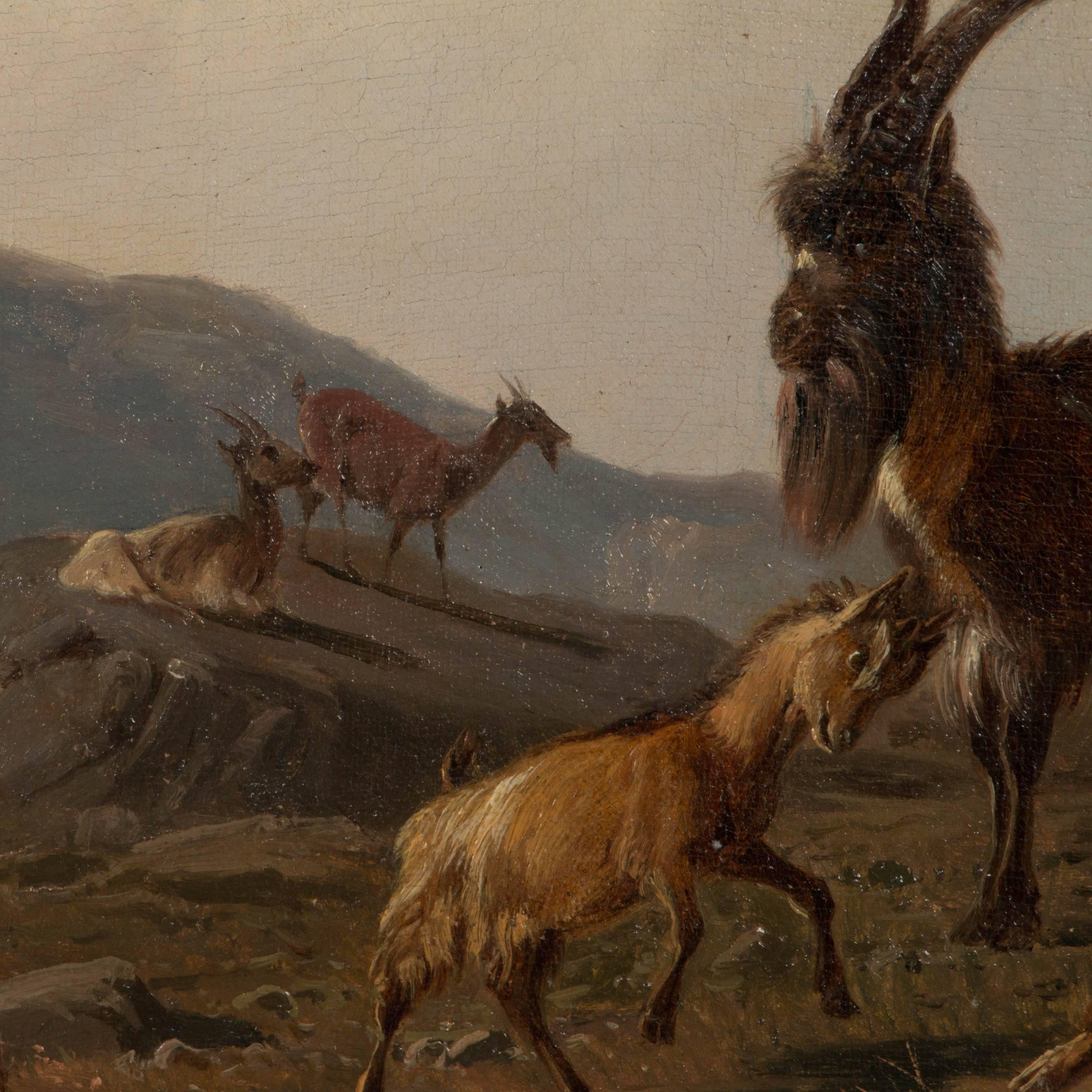 Antique 19th Century Oil Painting of Mountain Goats by Wilhelm Zillen In Good Condition In Round Top, TX