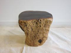Natural Tree Table