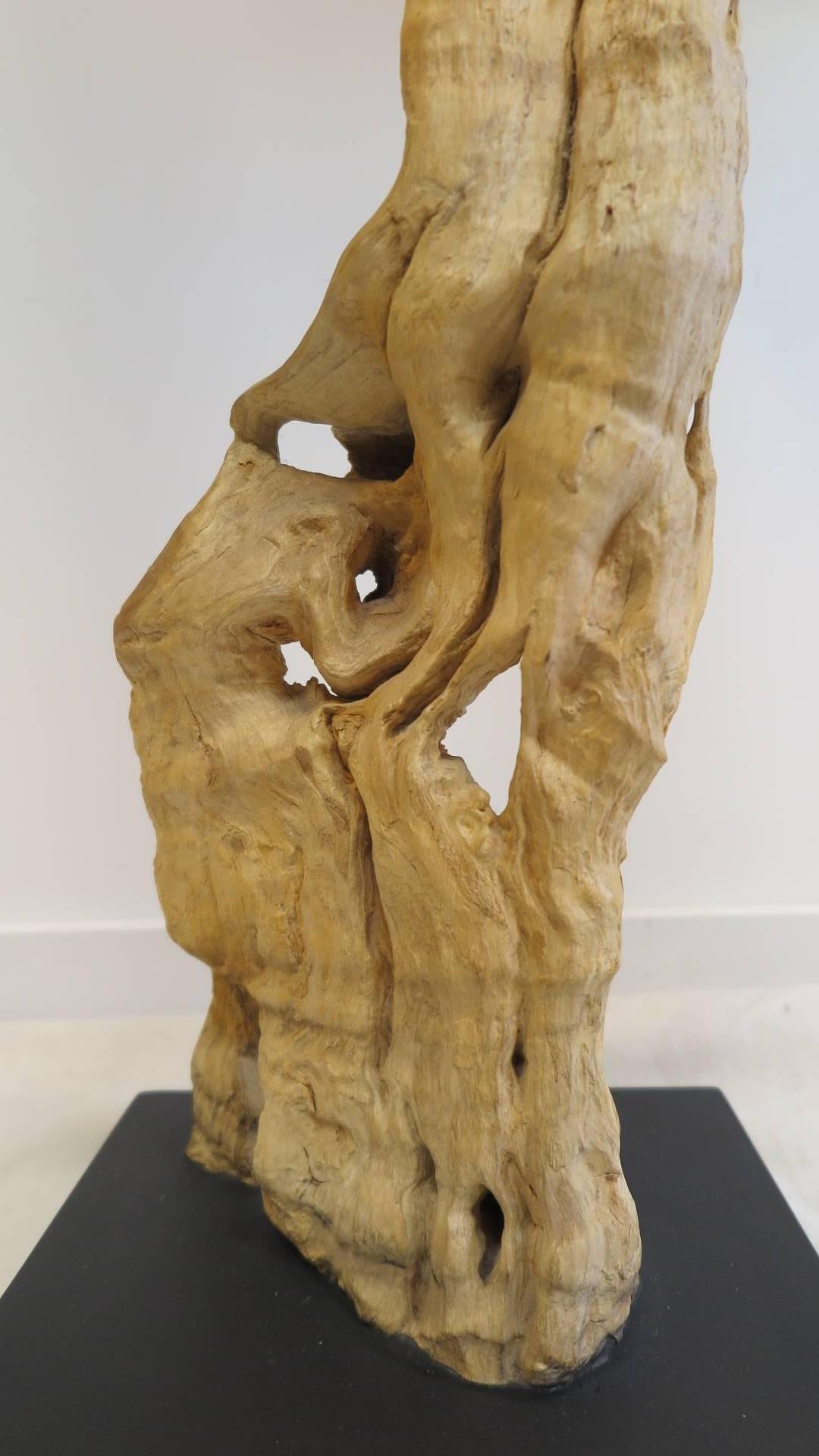 root sculpture modern