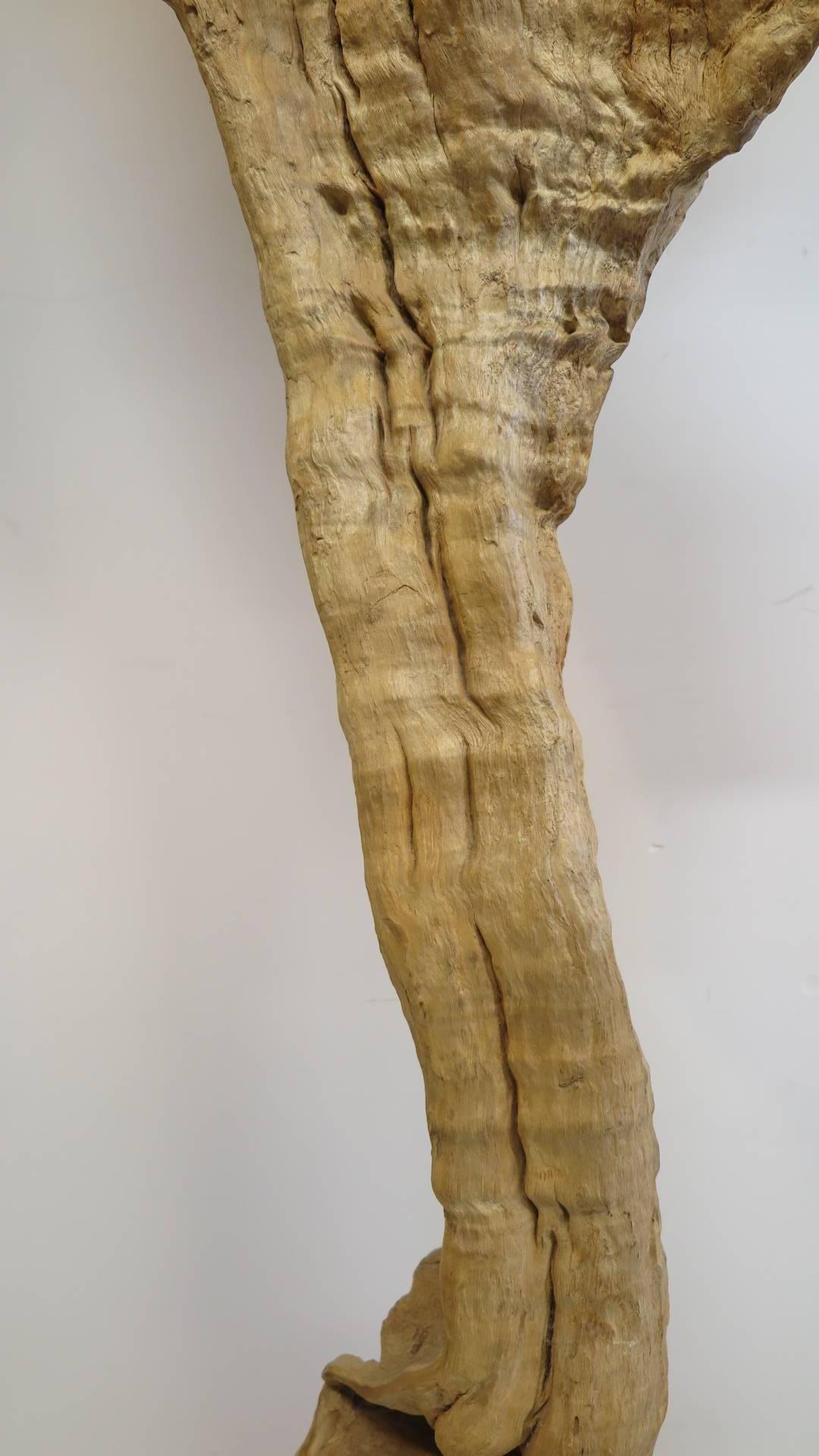 natural wood sculpture