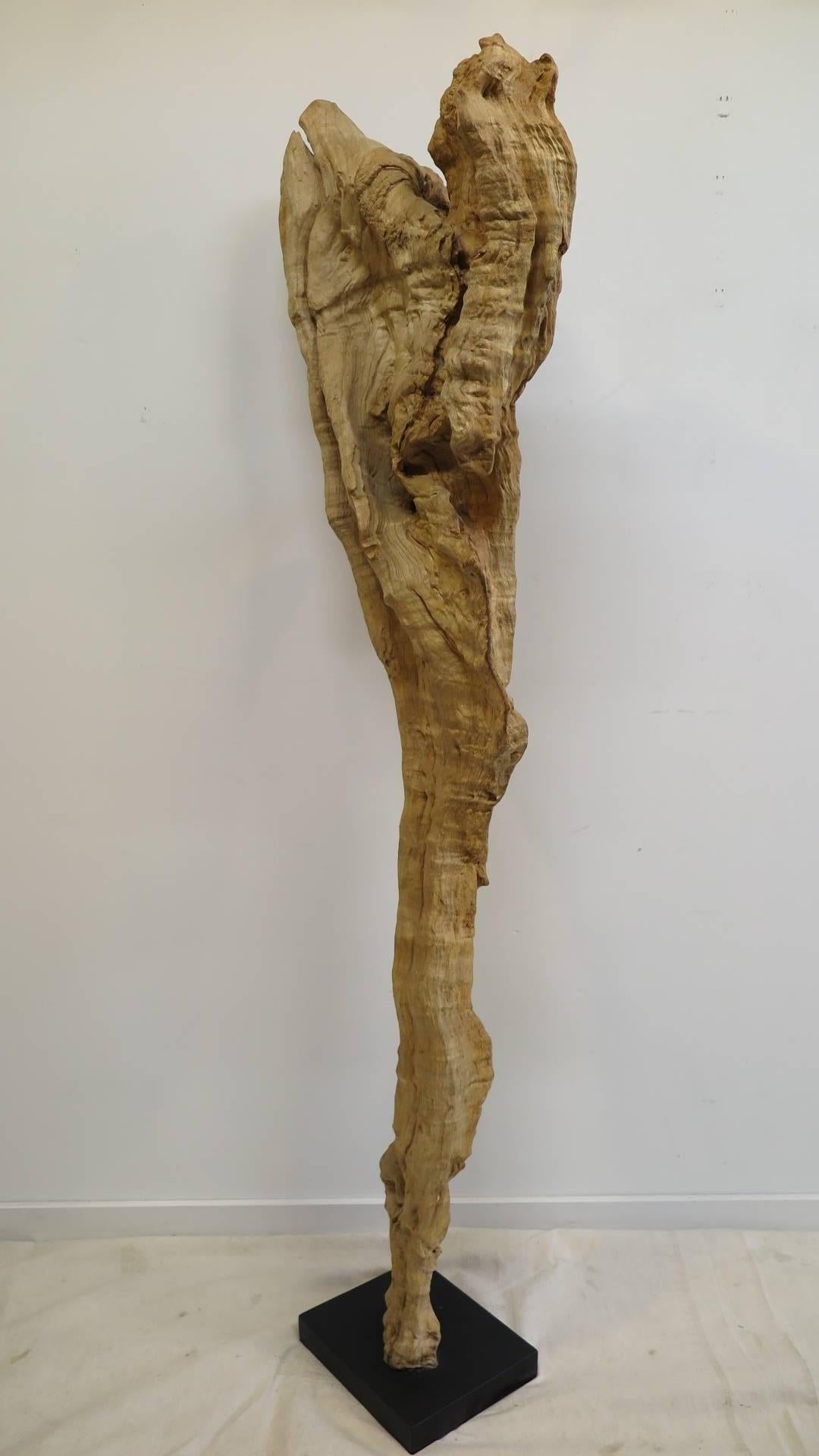 Thai Natural Teak Wood Root Sculpture