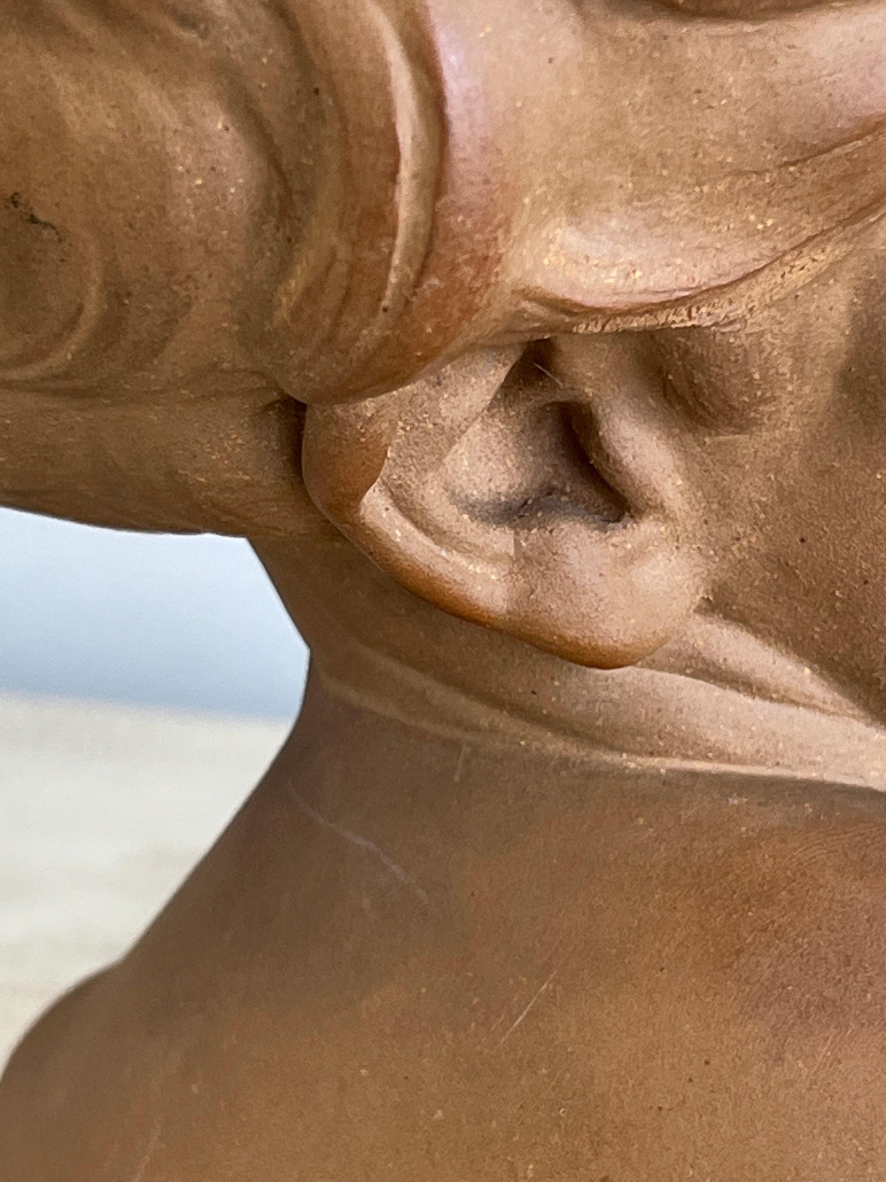 Busto di Aime Jules Dalou, scultura in bisquit di Sèvres in vendita 6