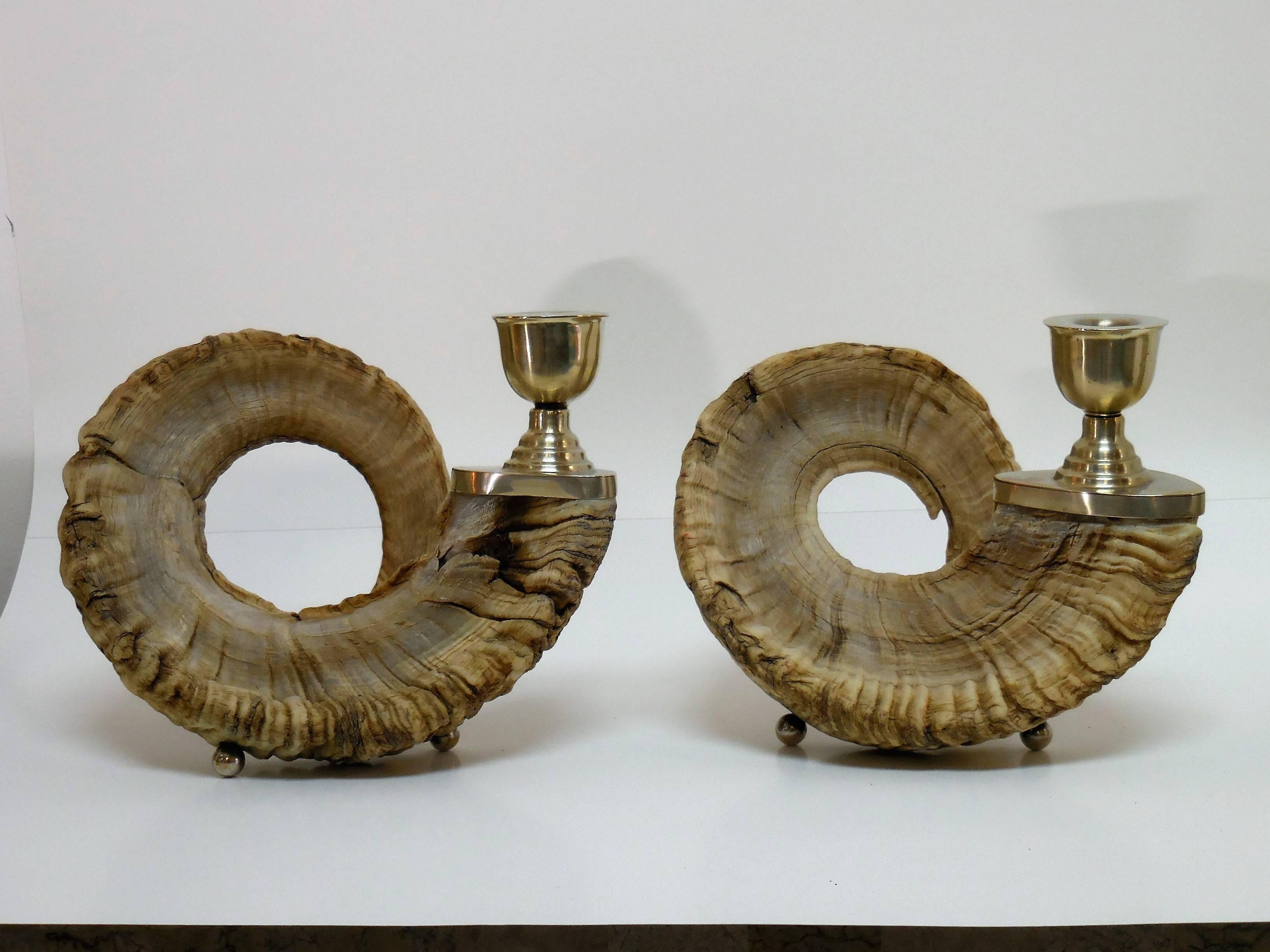 Pair of Large and Dramatic Mid-Century Ram's Horn Candleholders In Excellent Condition In Miami, FL