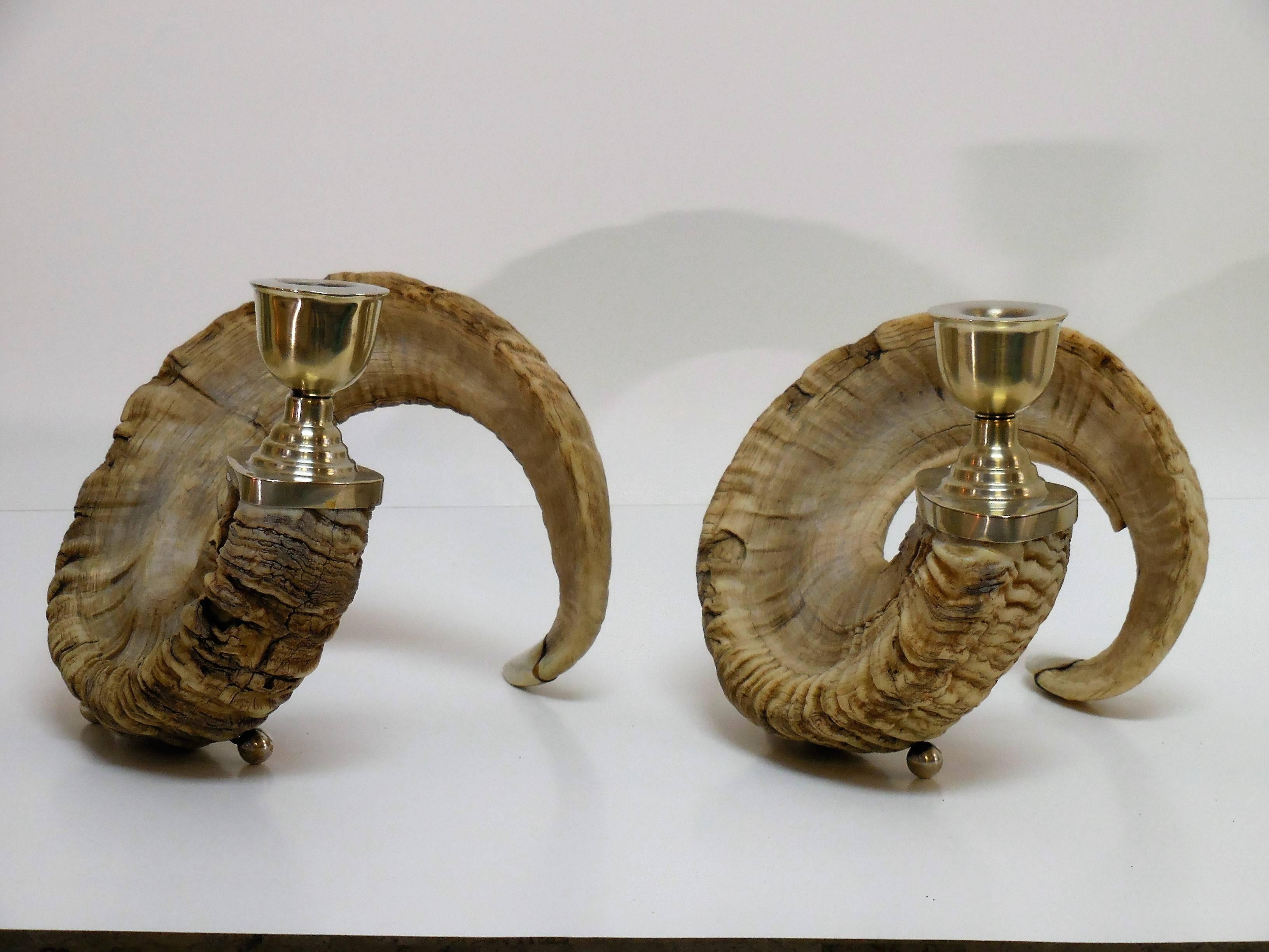 Mid-20th Century Pair of Large and Dramatic Mid-Century Ram's Horn Candleholders
