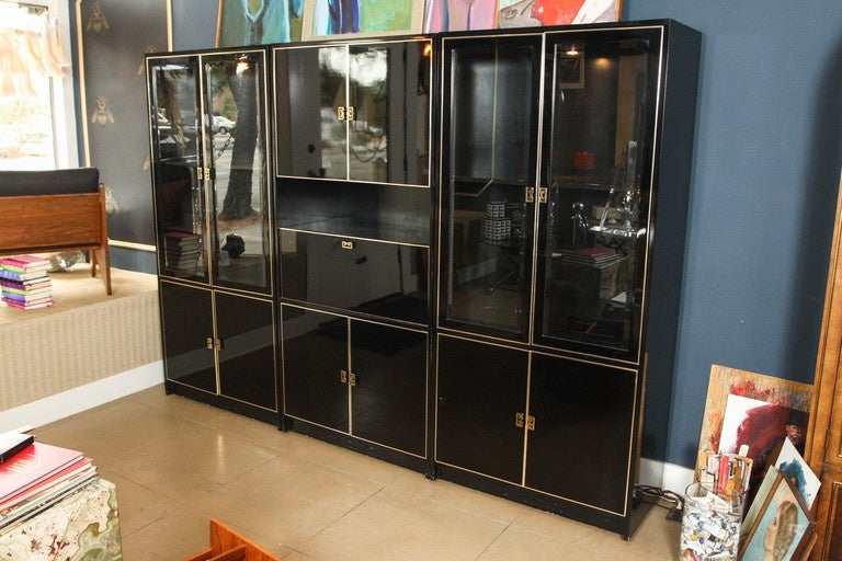 Mid-Century Modern Black Lacquer and Glass Case Piece For Sale