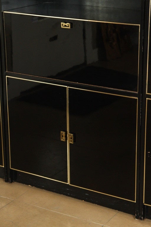 Mid-20th Century Black Lacquer and Glass Case Piece For Sale