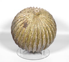 Shiro Otani Gourd, Shaped Vessel Anagama Wood, Fired