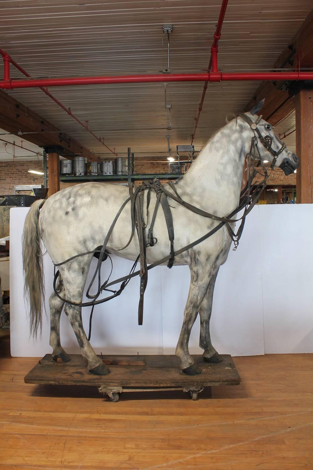 19th century American lifesize wood and zinc harness horse with glass eyes and cast iron ears. It came from South Dakota.