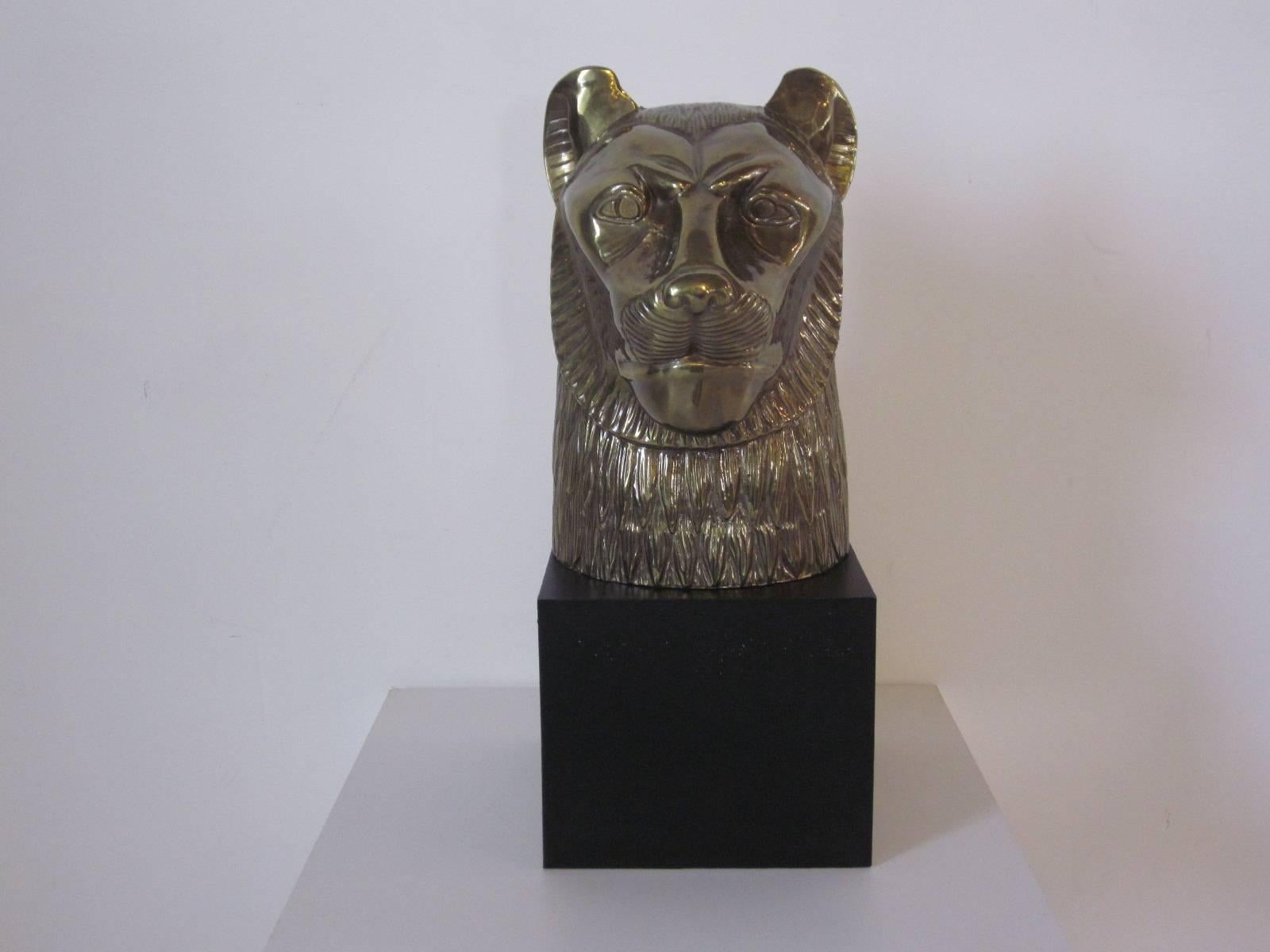 A large brass toned cat lion head sculpture in metal mounted on a satin black base with great detail and character , well crafted by the Chapman Company known for their high end quality  . The sculpture can be placed in the library , bookcase , desk