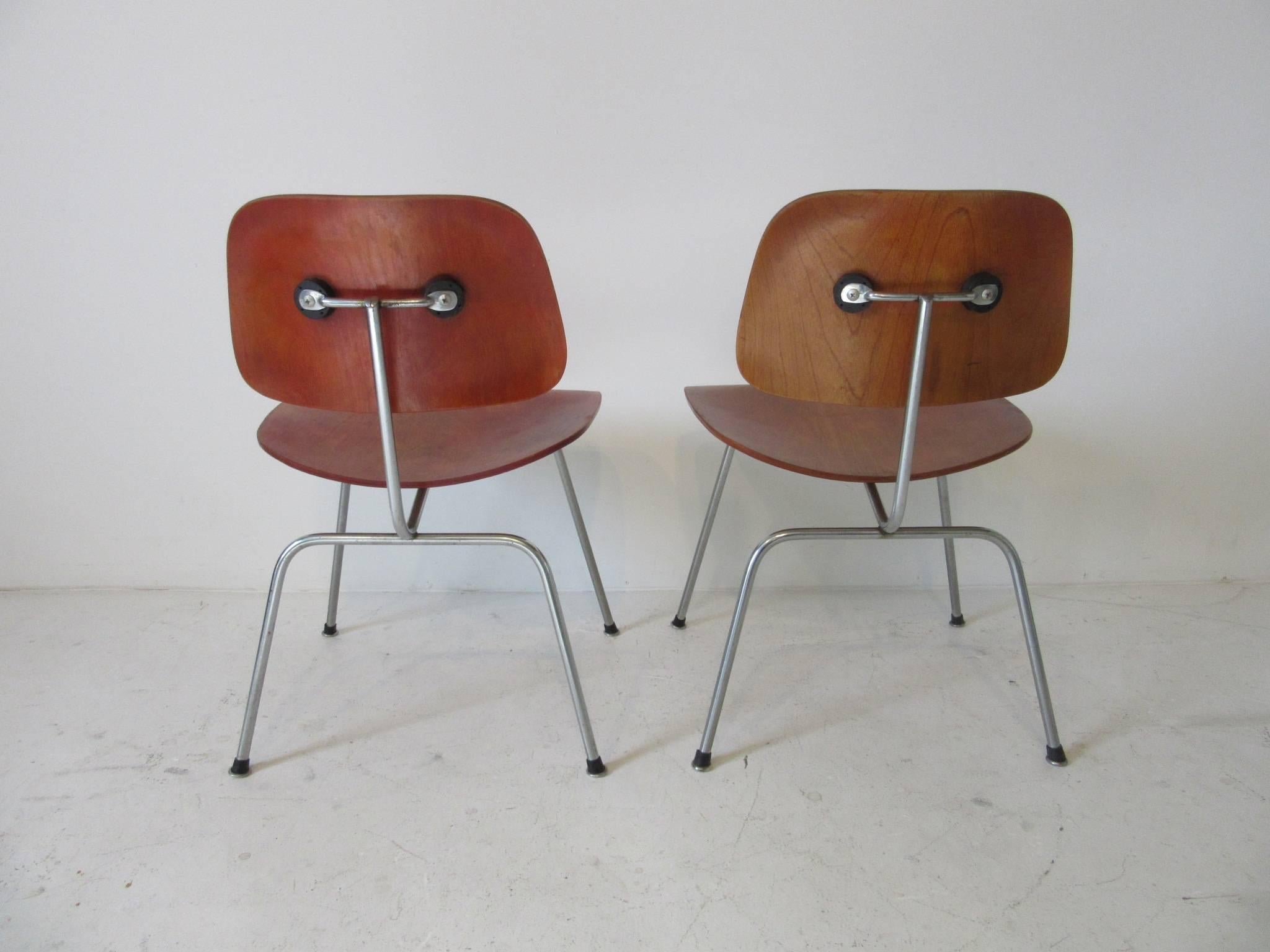 Early production Aniline dyed DCM chairs with chromed steel bases and bent wood seats with early slip on rubber and metal foot pads. Manufactured by the Herman Miller furniture company and retains the factory stamp to each chair bottom " 9 -