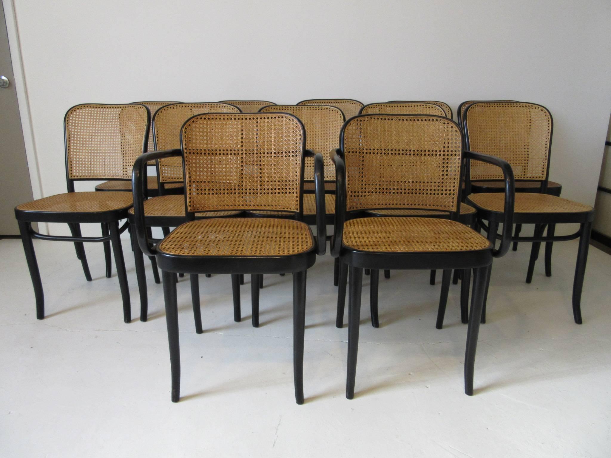 A set of 12 Prague bent wood and caned dining chairs designed by Josef Hoffmann with satin black frames marked to the bottoms by the manufacture Thonet. The set contains two armchairs 31.5" H x 20.67" W x 17.72" D and 10 side chairs